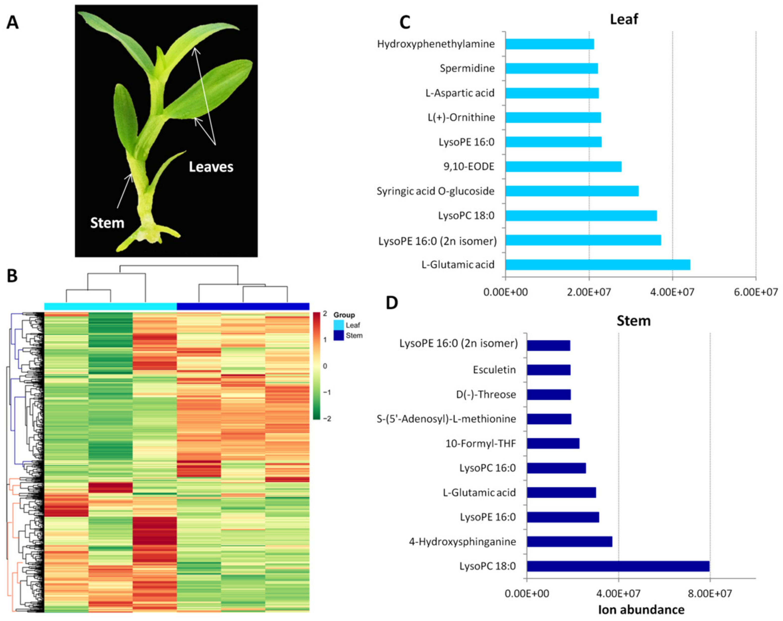 Metabolites 09 00215 g001