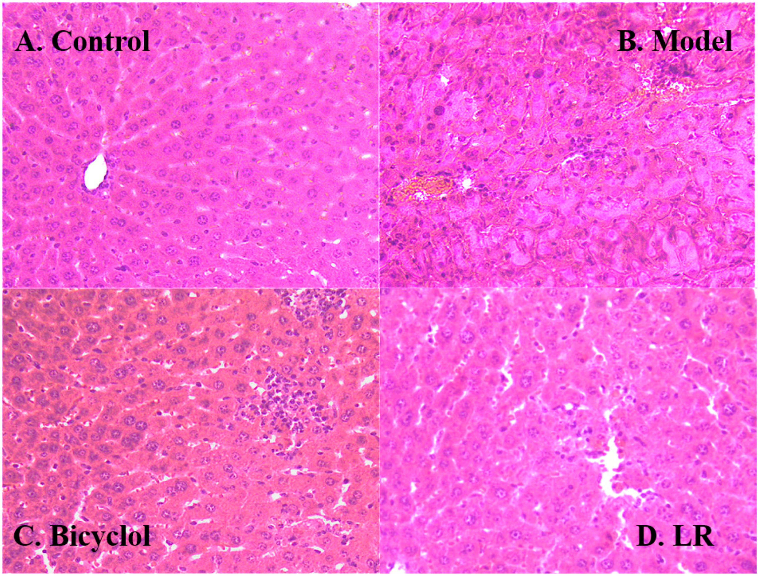 Metabolites 09 00227 g002