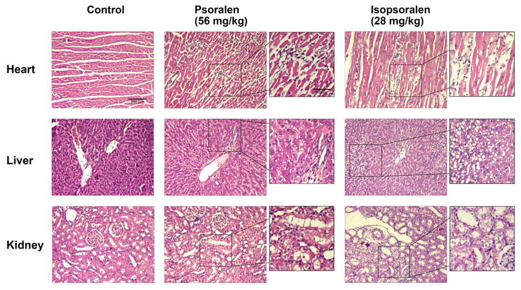 Metabolites 09 00263 g003