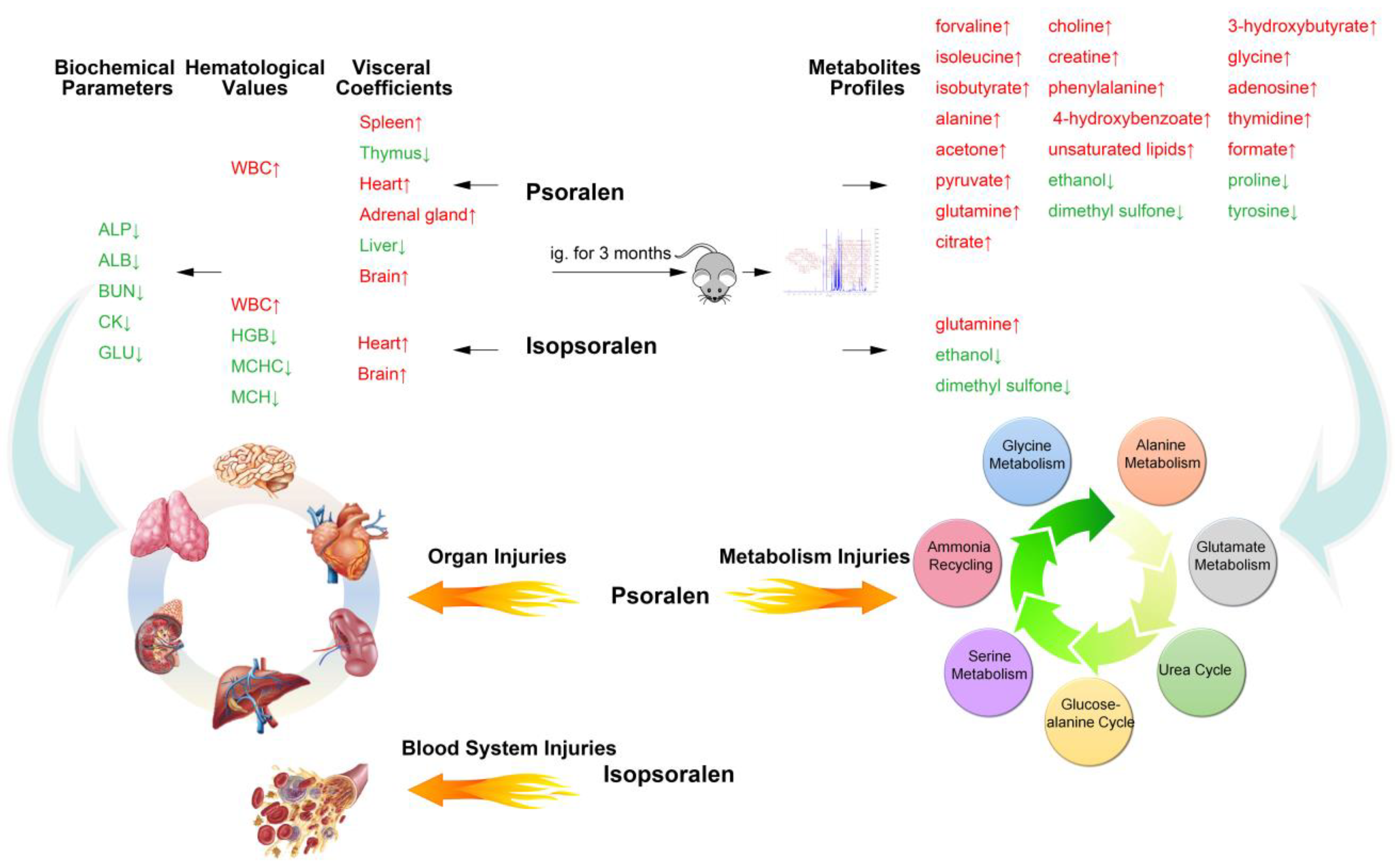 Metabolites 09 00263 g007