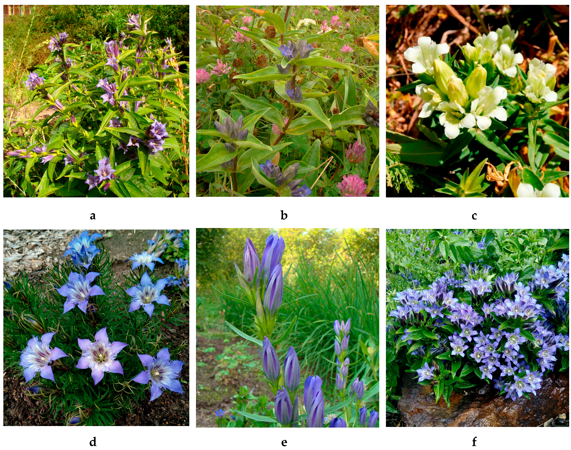 Metabolites 09 00271 g001