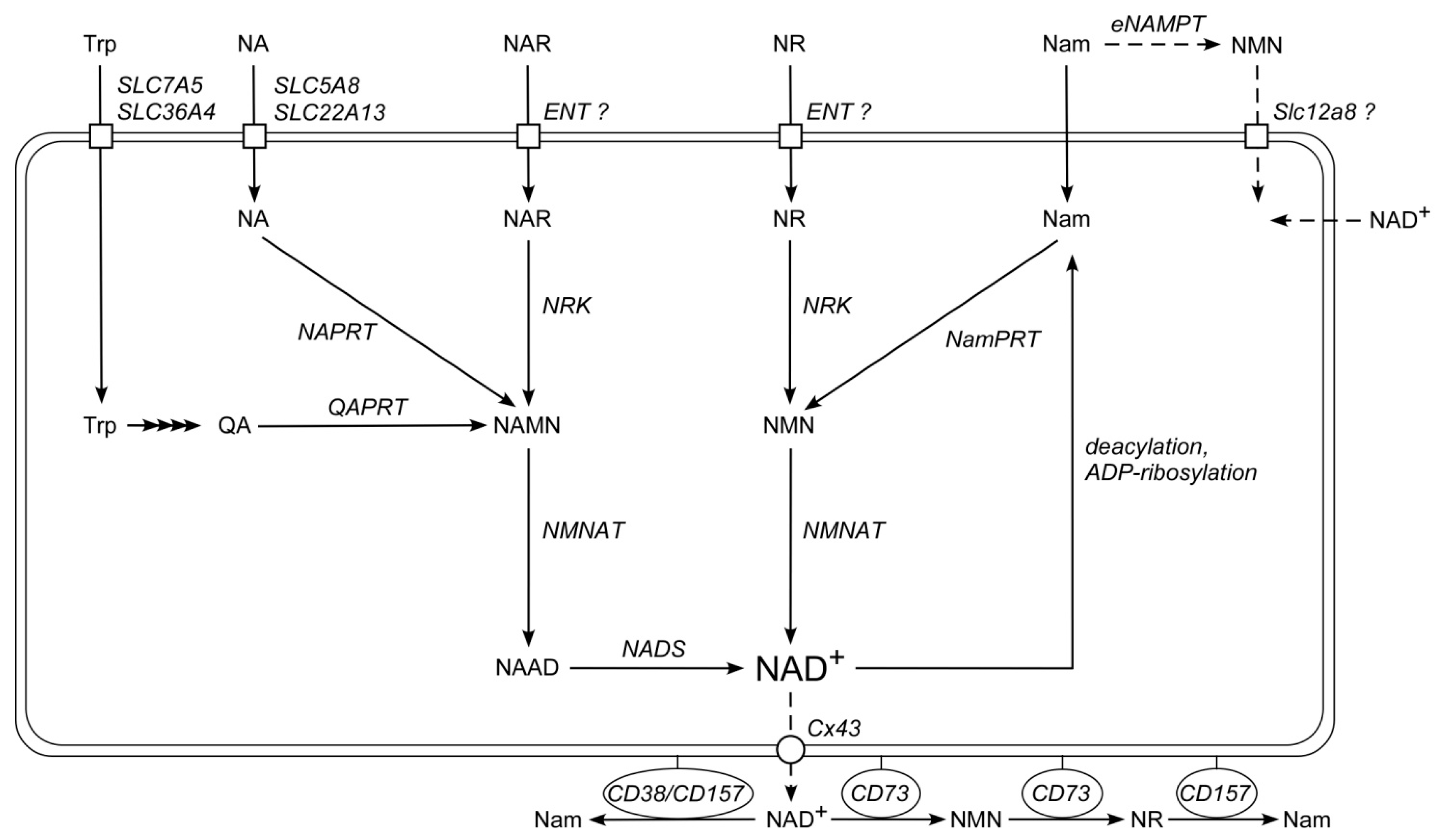Metabolites 09 00293 g001 Metabolites 09 00293 g001