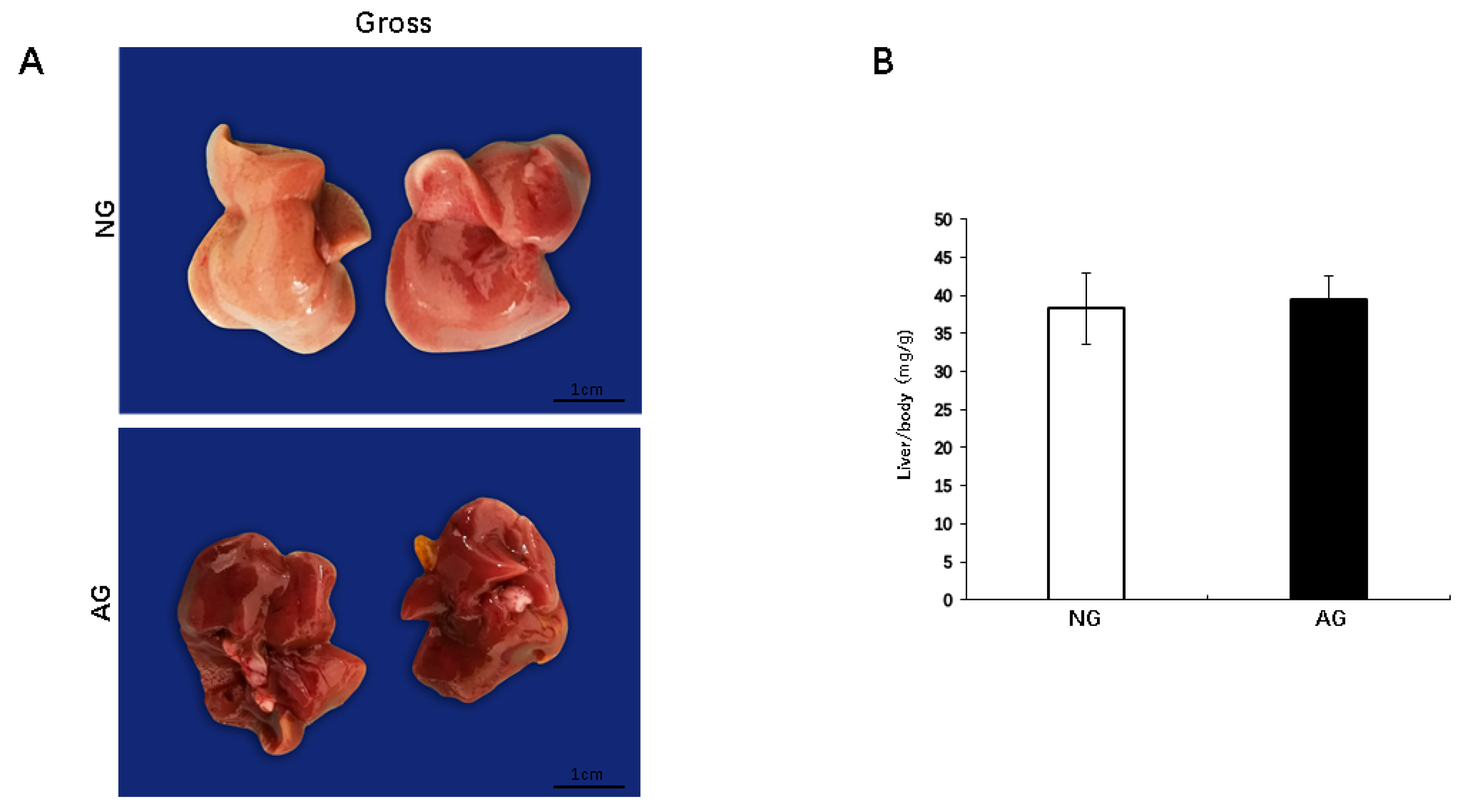 Metabolites 09 00299 g001 Metabolites 09 00299 g001
