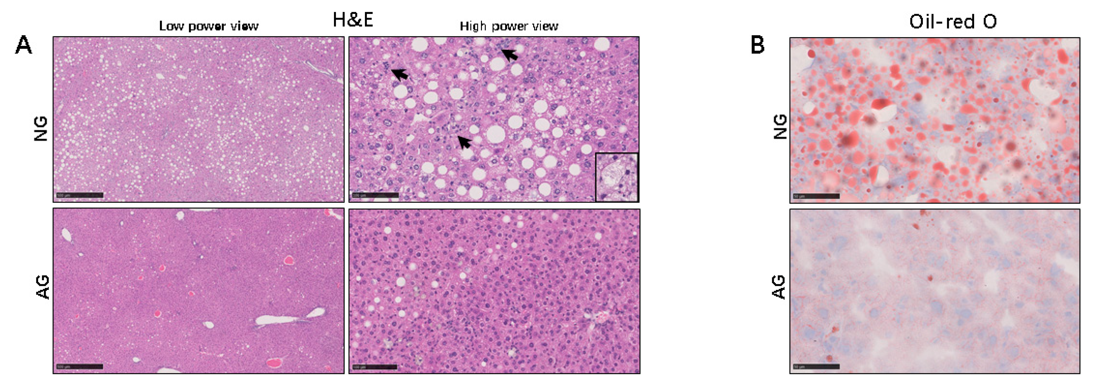 Metabolites 09 00299 g002 Metabolites 09 00299 g002