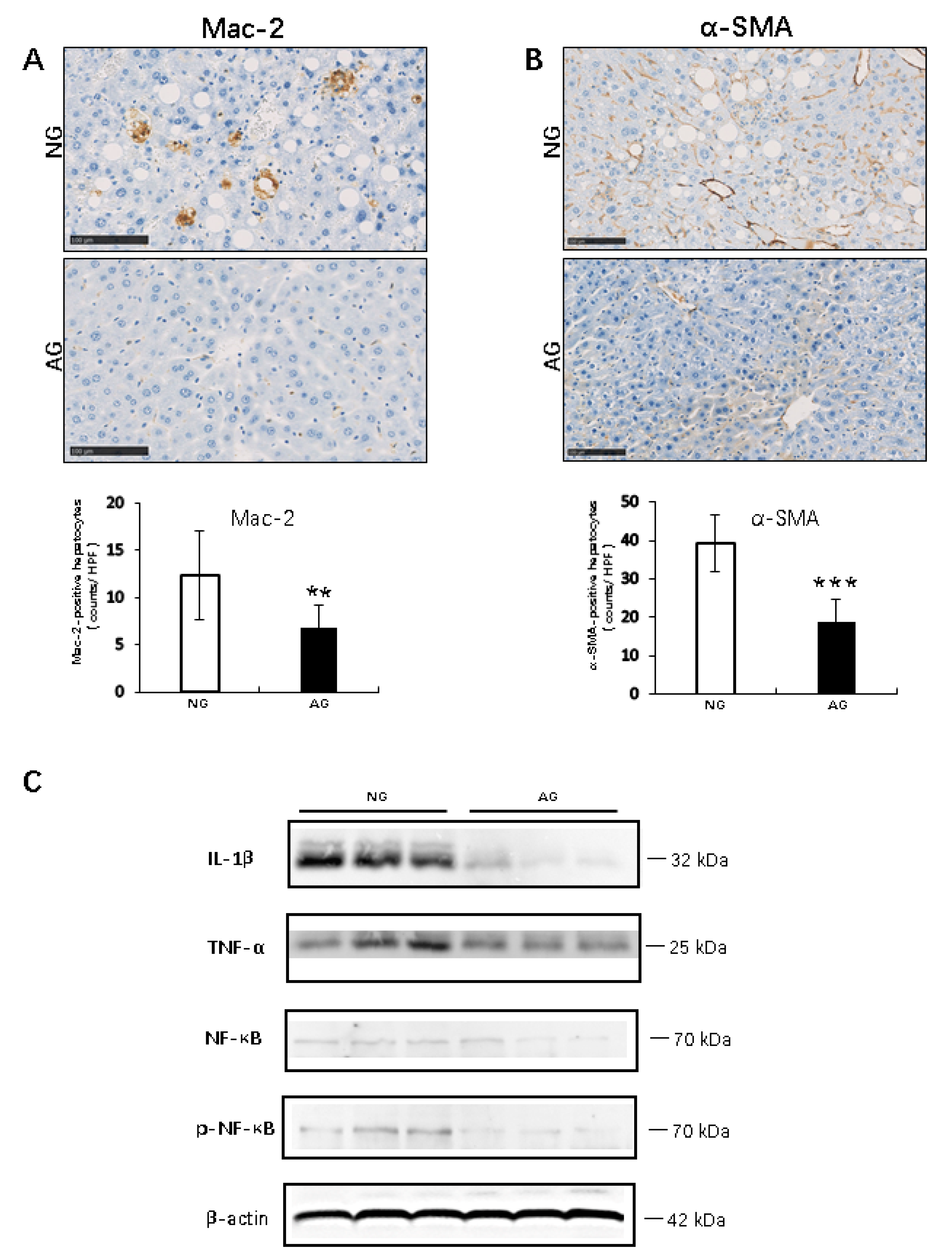 Metabolites 09 00299 g003 Metabolites 09 00299 g003