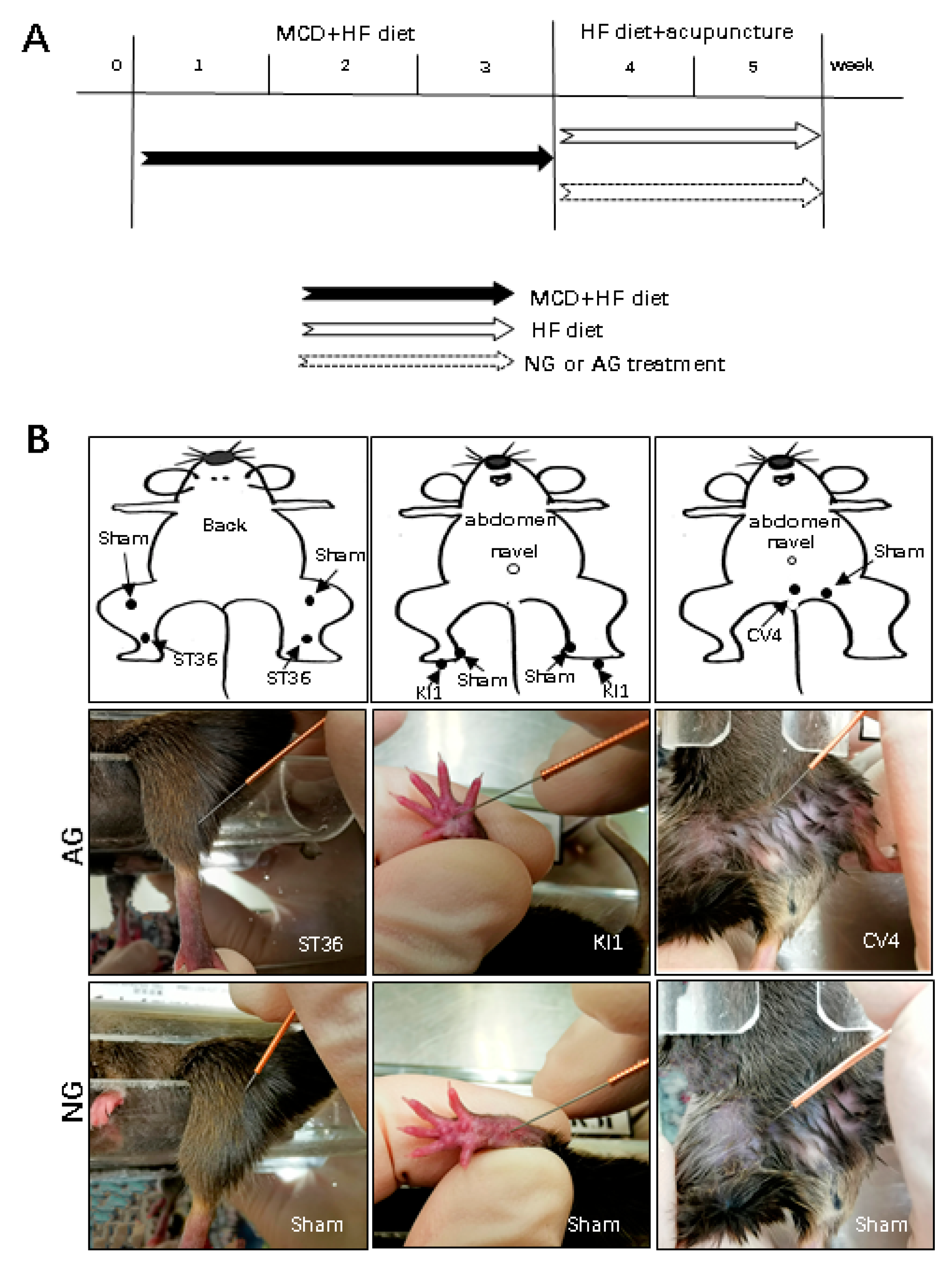Metabolites 09 00299 g006 Metabolites 09 00299 g006