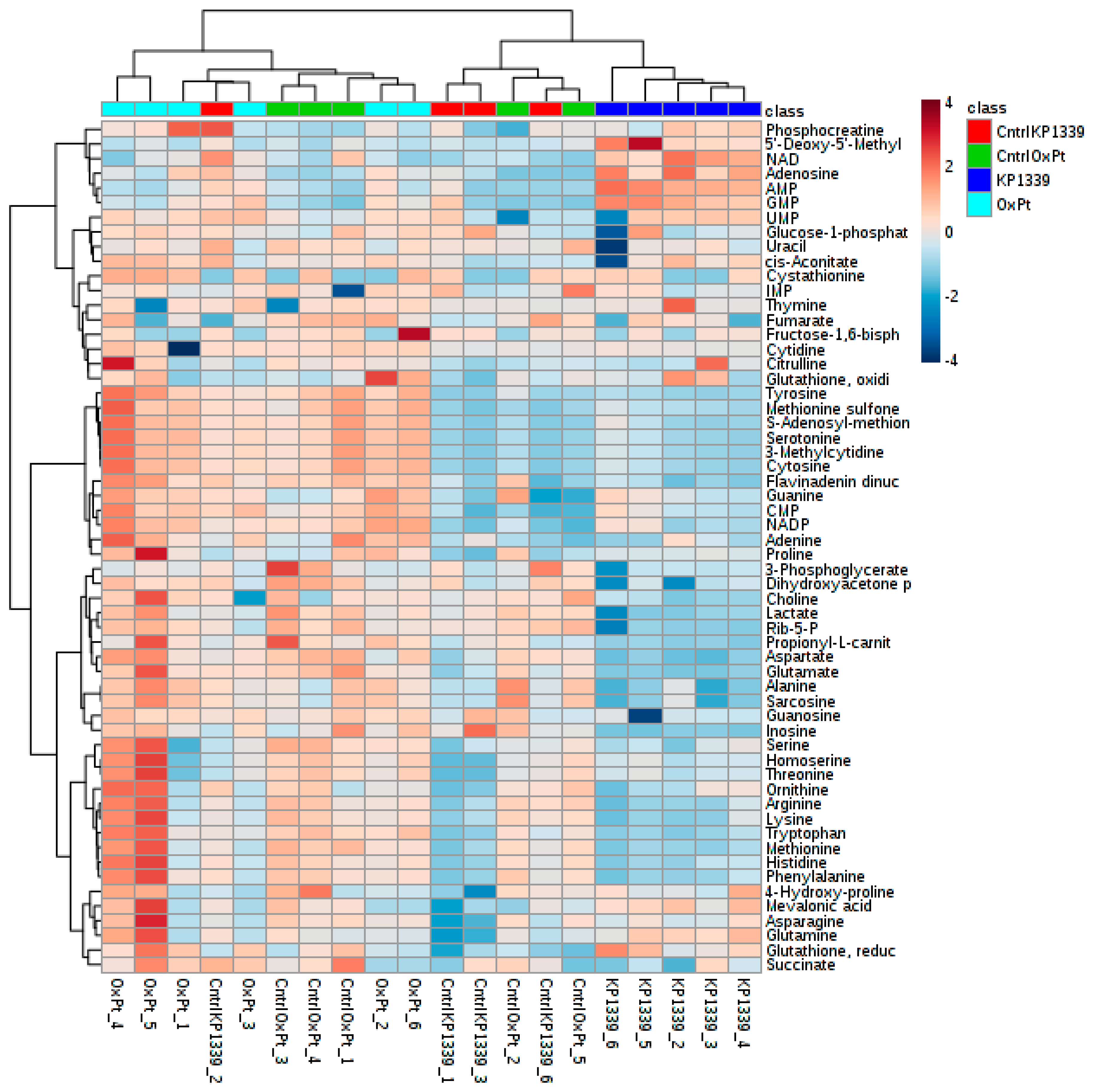 Metabolites 09 00304 g004