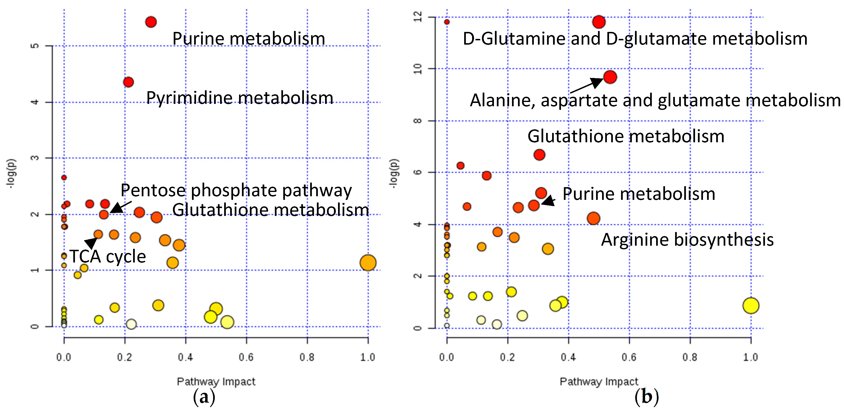 Metabolites 09 00304 g005
