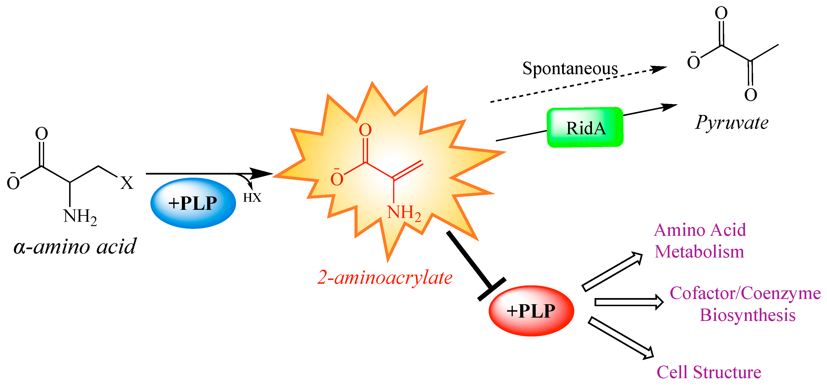 Metabolites 10 00012 g001