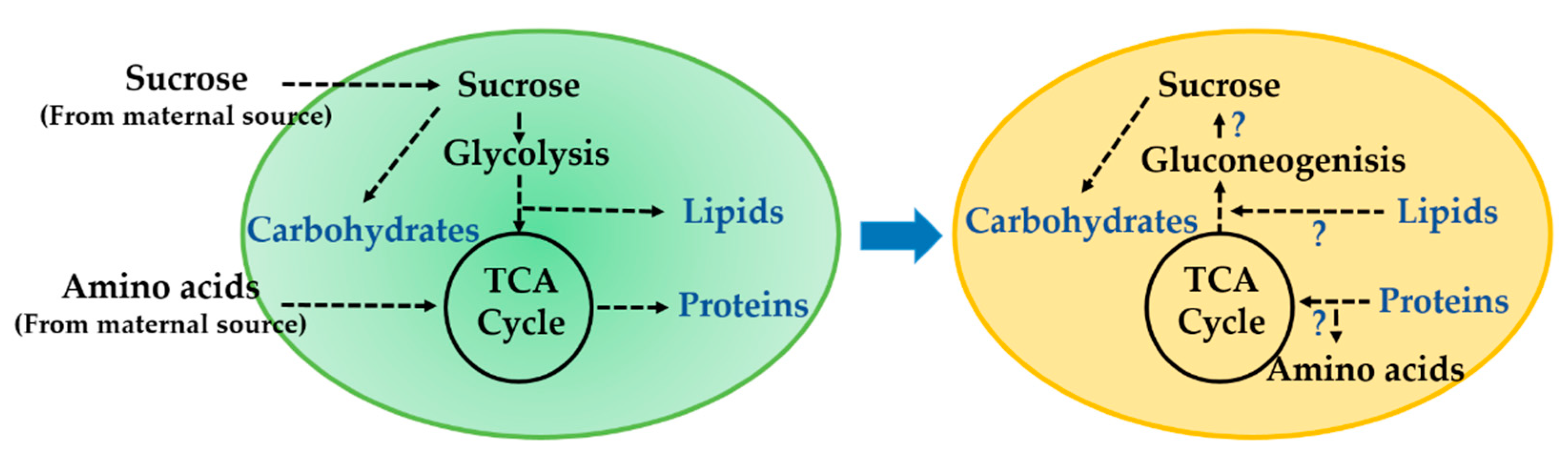 Metabolites 10 00018 g001 Metabolites 10 00018 g001