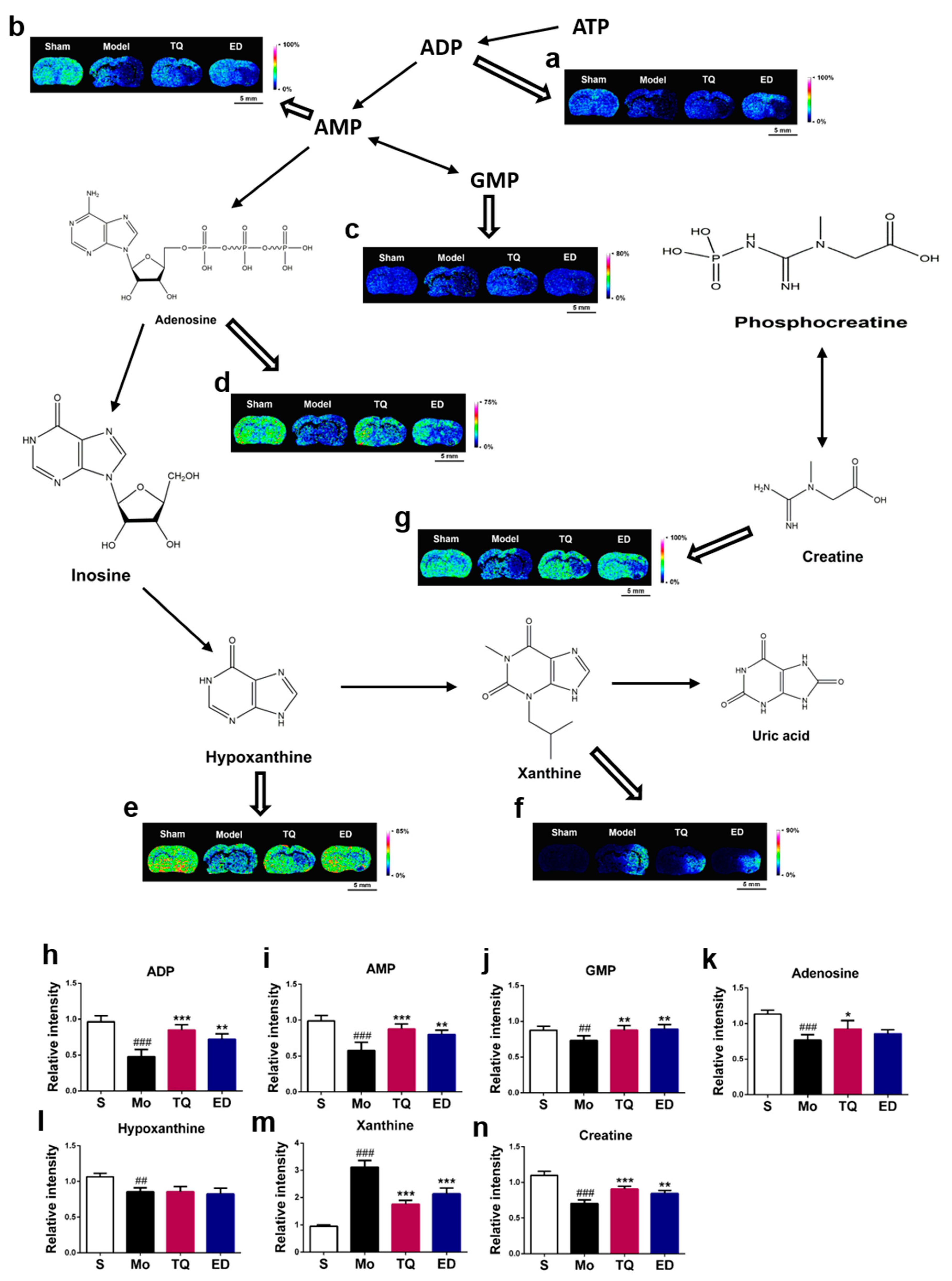 Metabolites 10 00027 g004 Metabolites 10 00027 g004