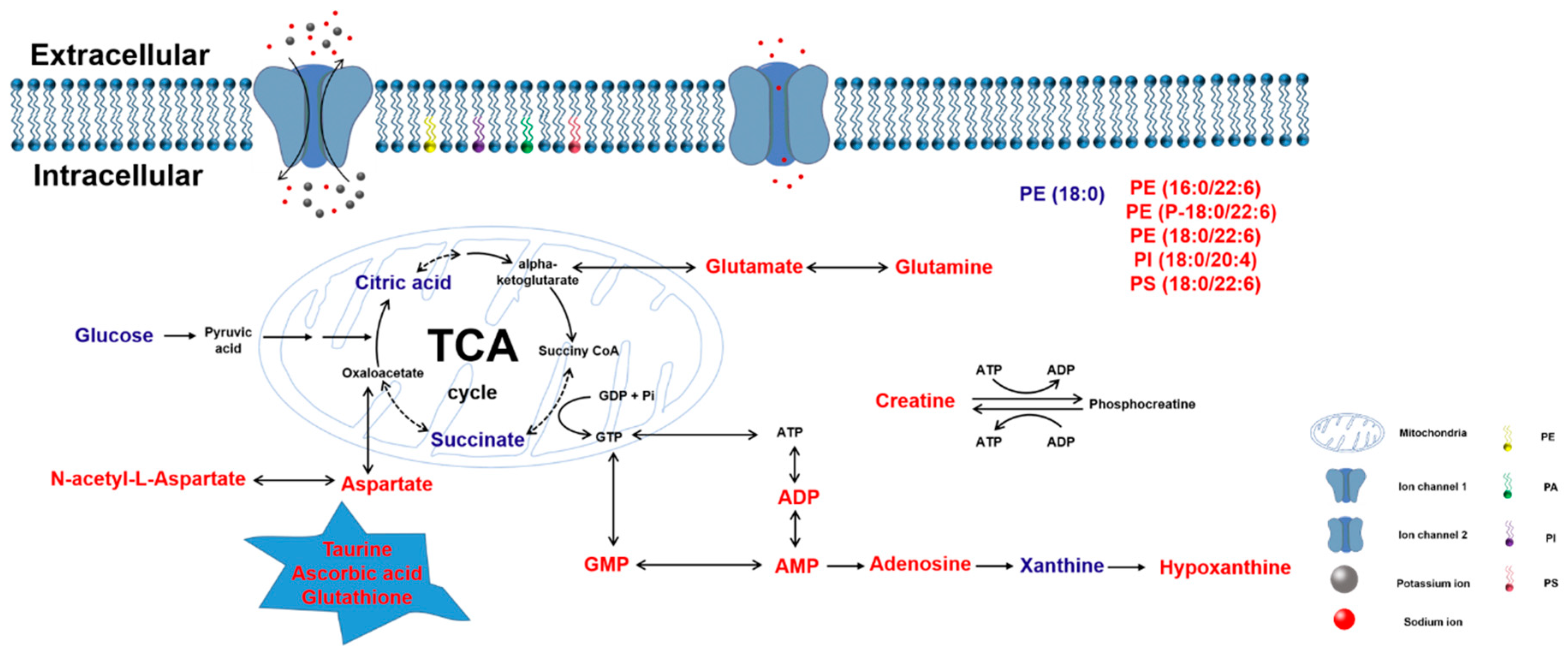 Metabolites 10 00027 g008 Metabolites 10 00027 g008