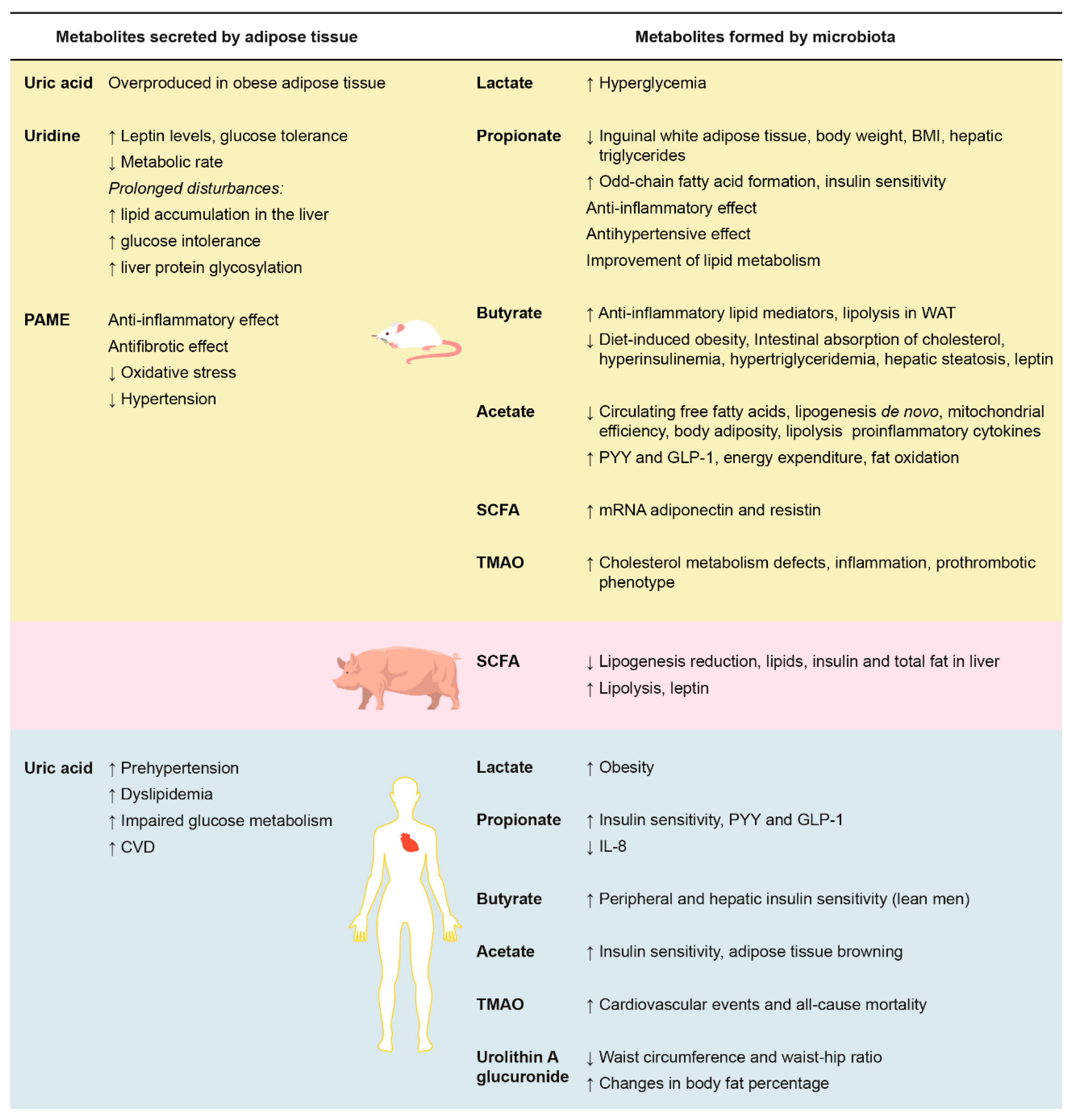 Metabolites 10 00032 g001
