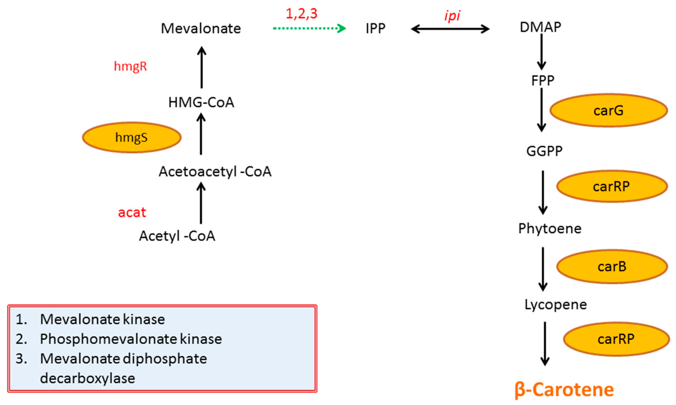 Metabolites 10 00038 g001 Metabolites 10 00038 g001