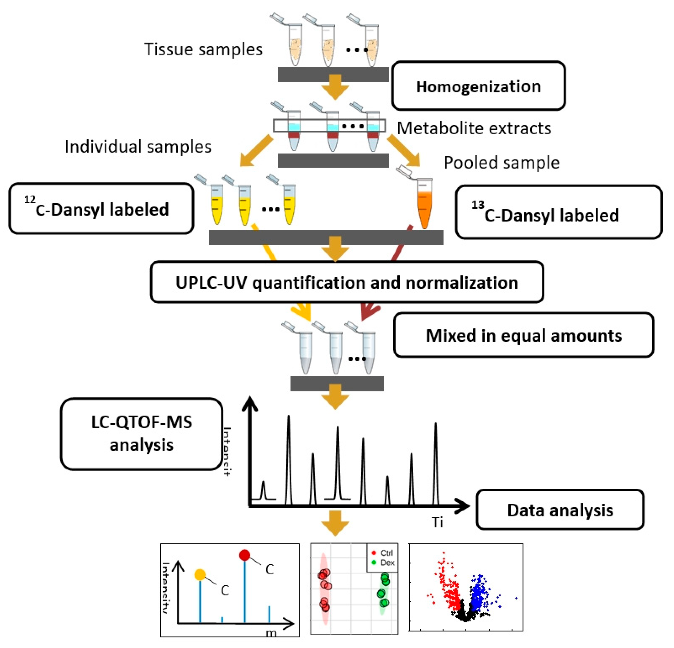 Metabolites 10 00042 g008