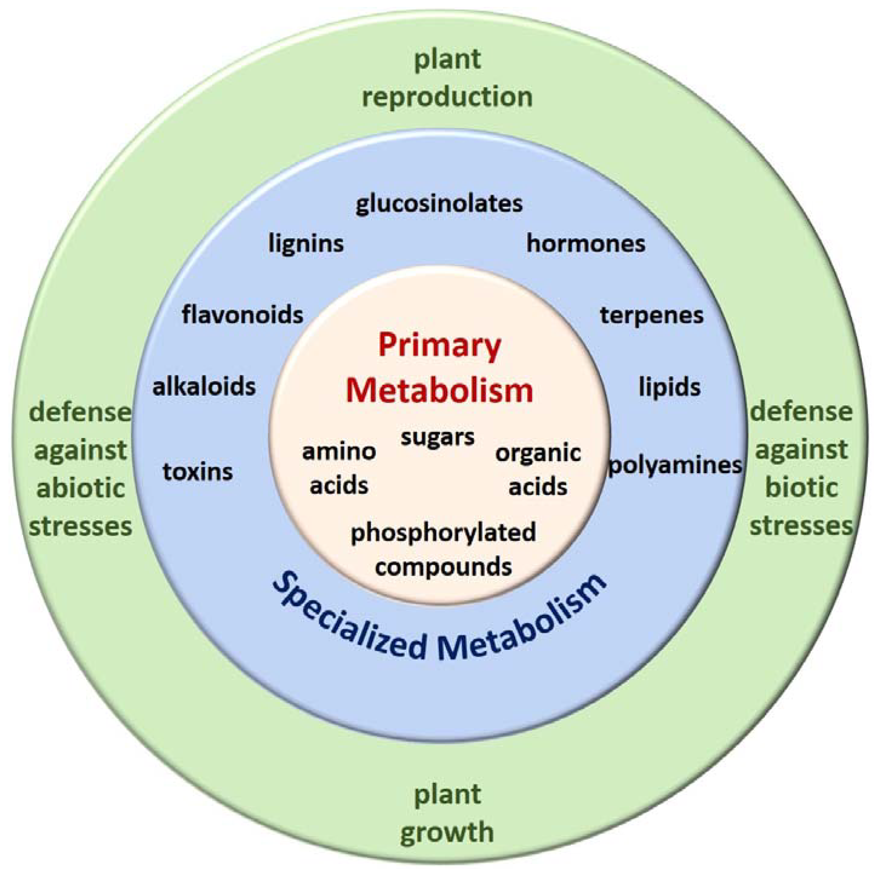 Metabolites 10 00052 g001