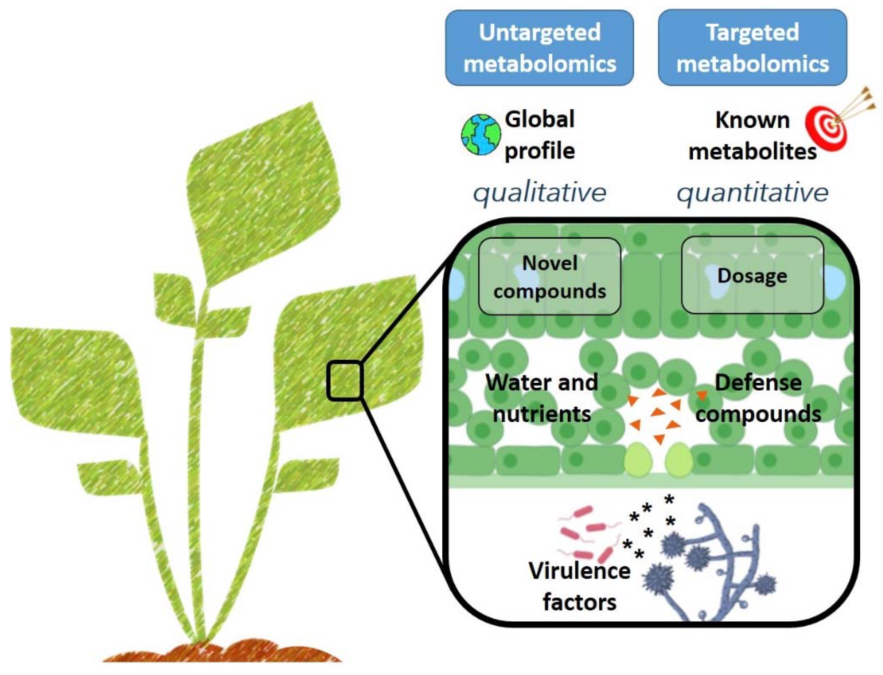 Metabolites 10 00052 g002