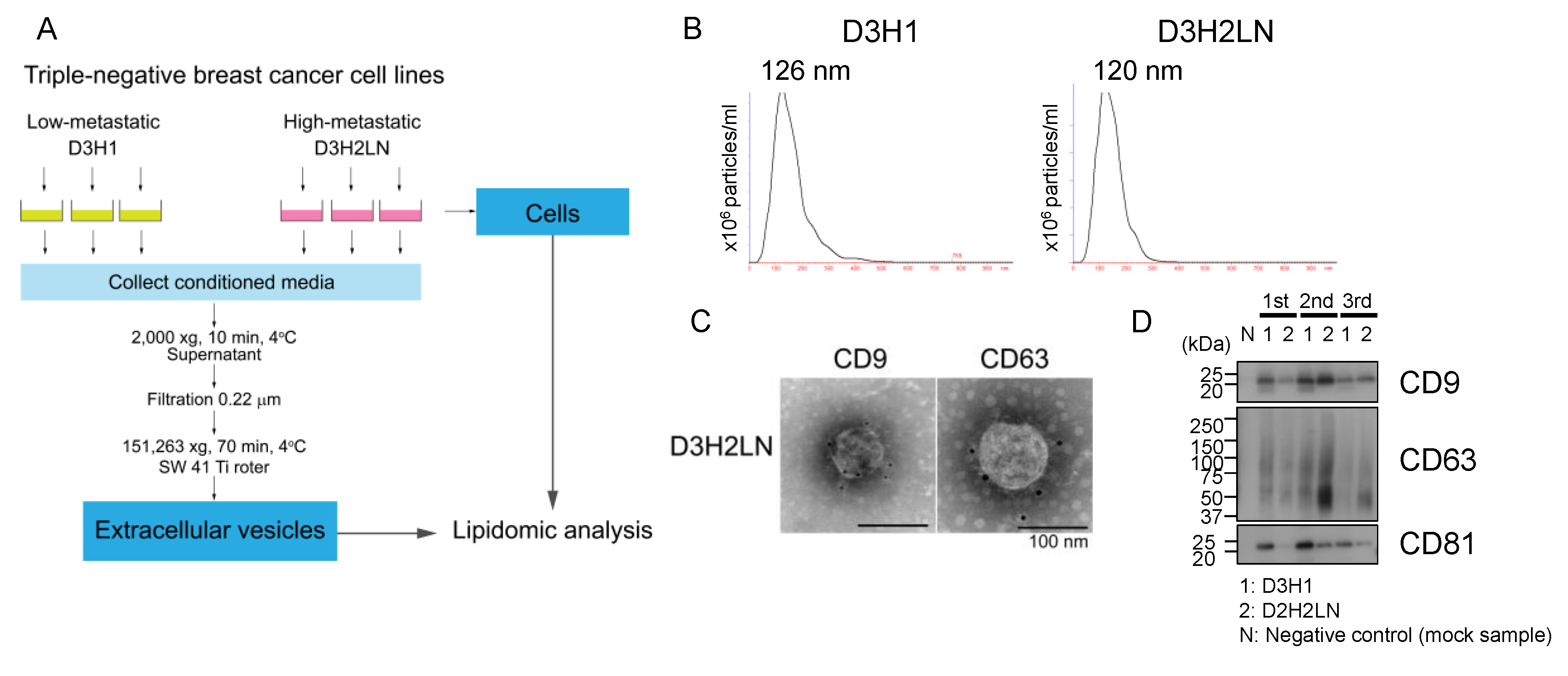 Metabolites 10 00067 g001
