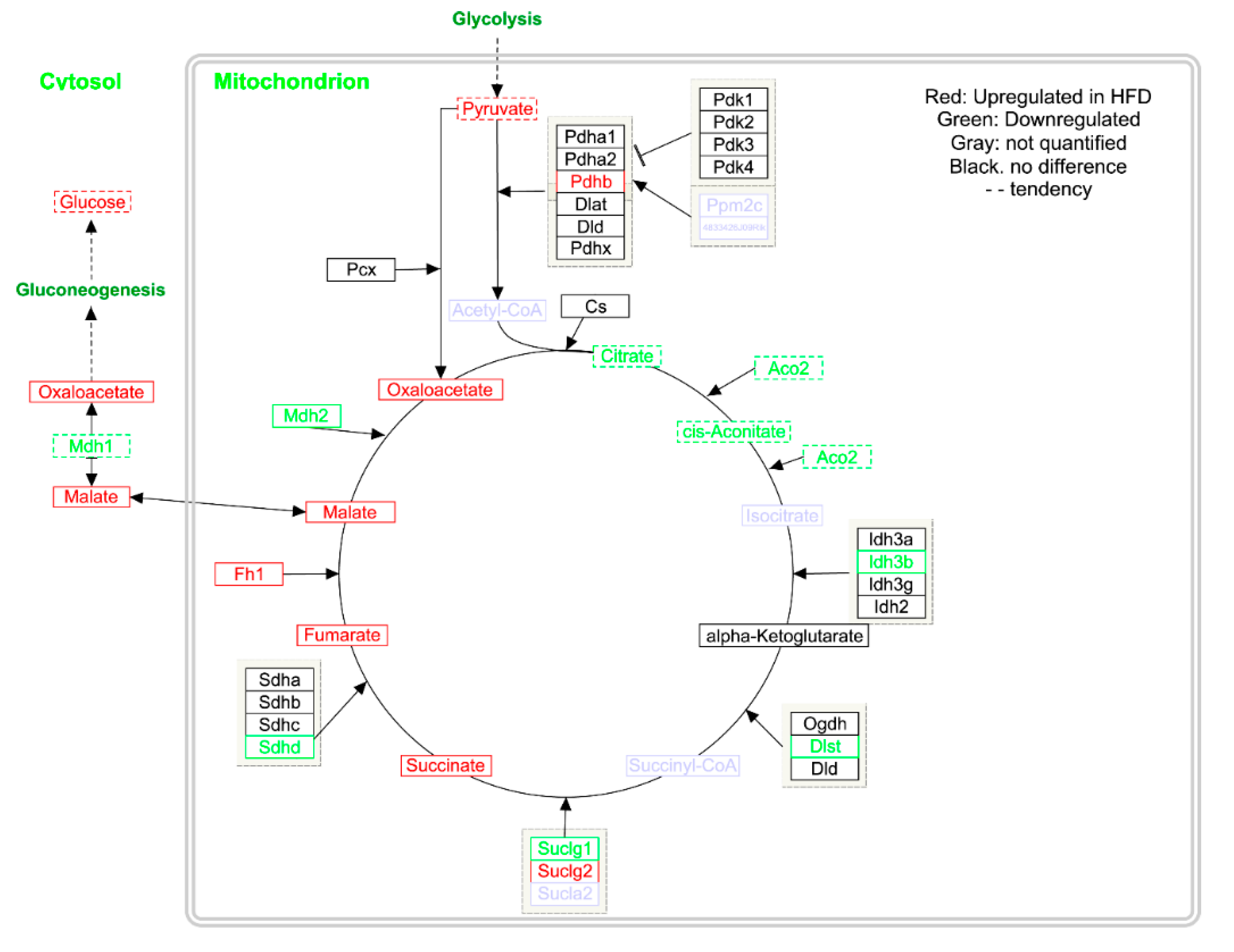 Metabolites 10 00080 g004