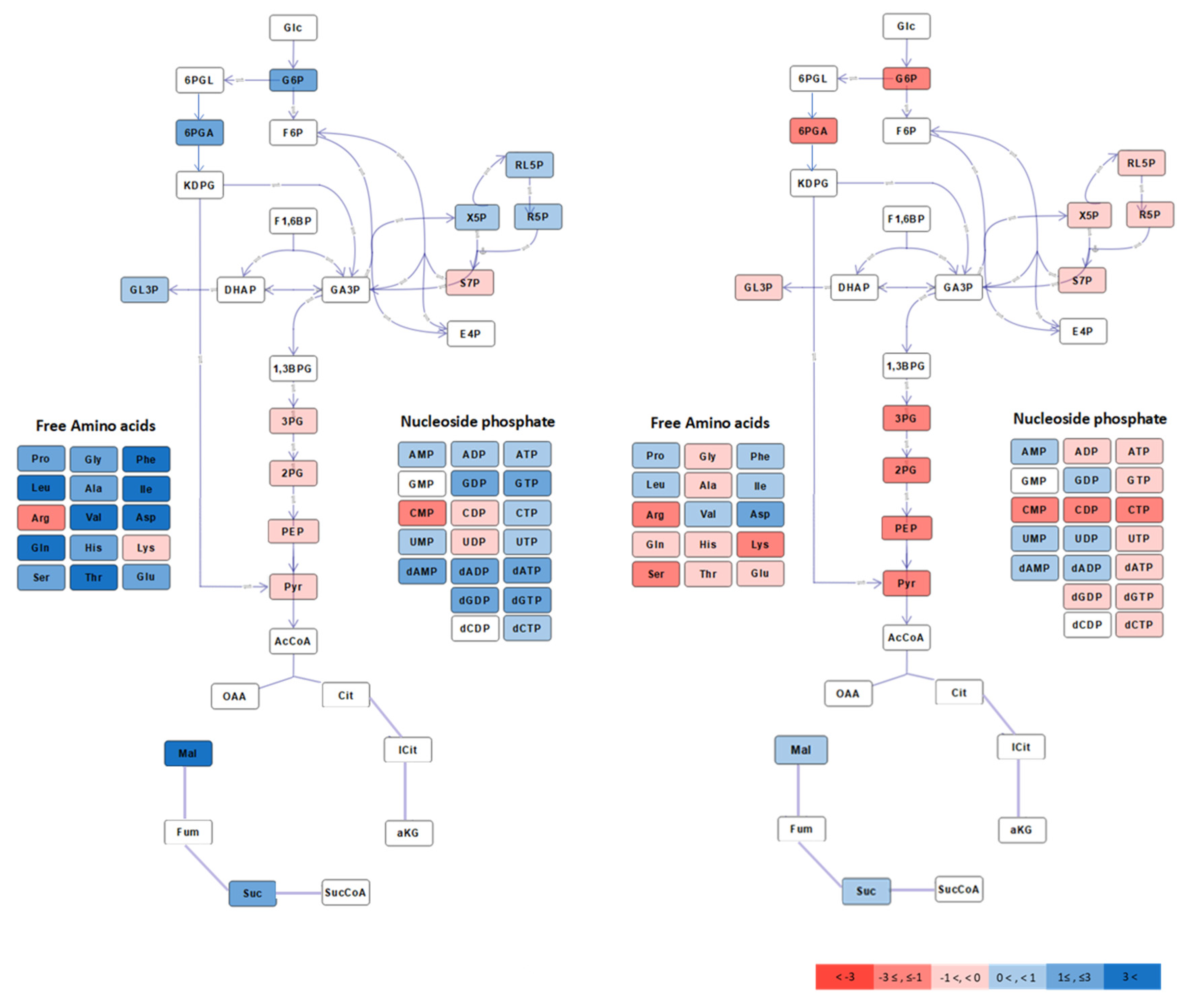 Metabolites 10 00081 g001