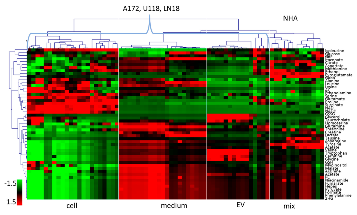 Metabolites 10 00088 g003