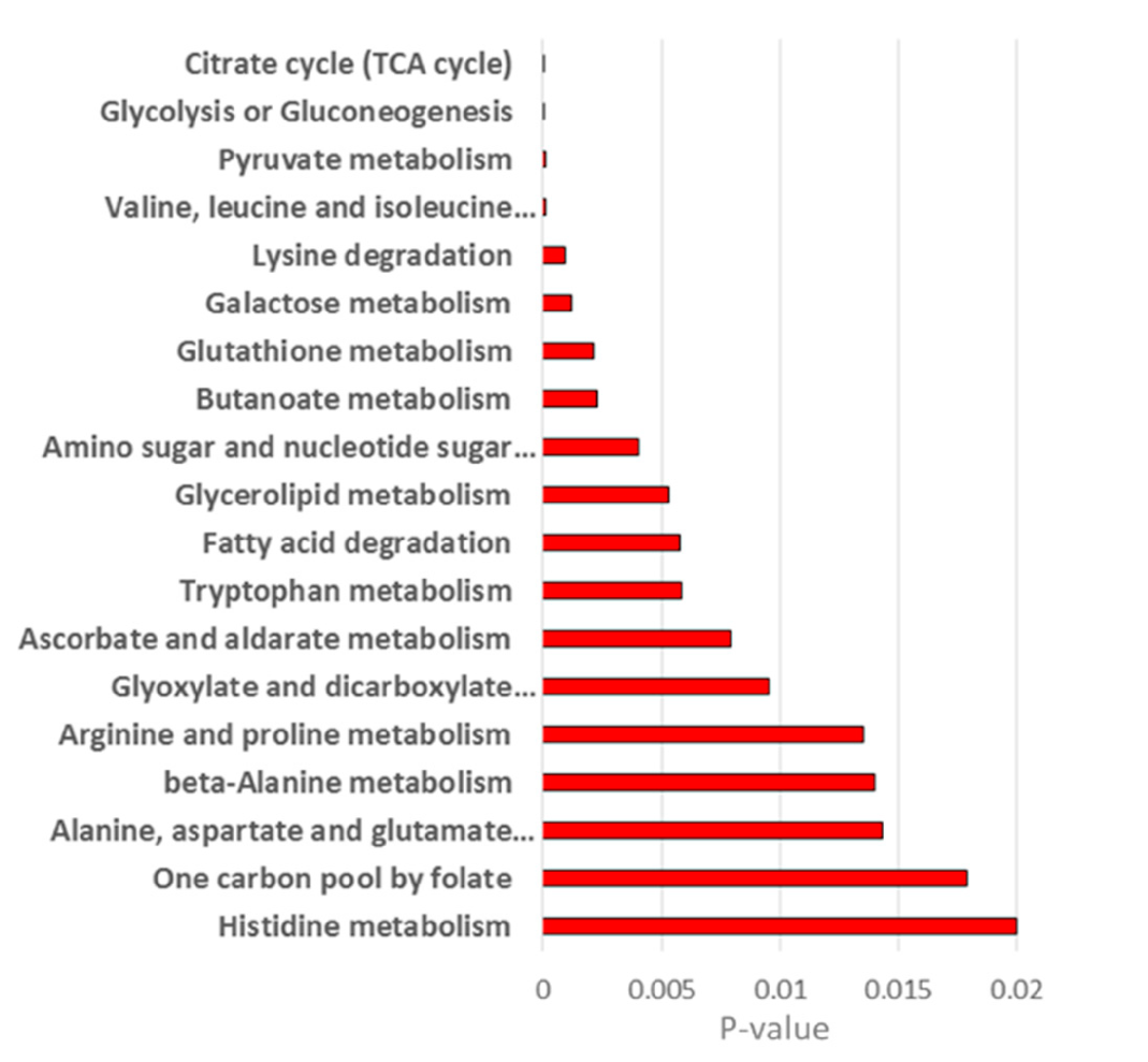 Metabolites 10 00088 g007