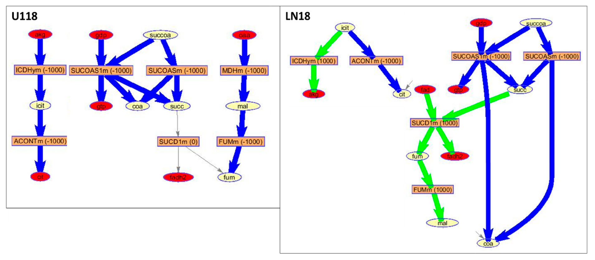 Metabolites 10 00088 g008