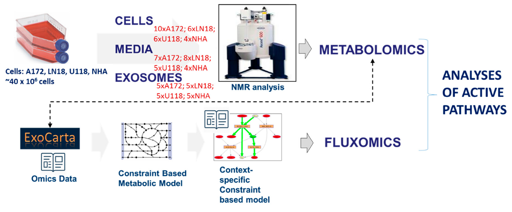 Metabolites 10 00088 g010