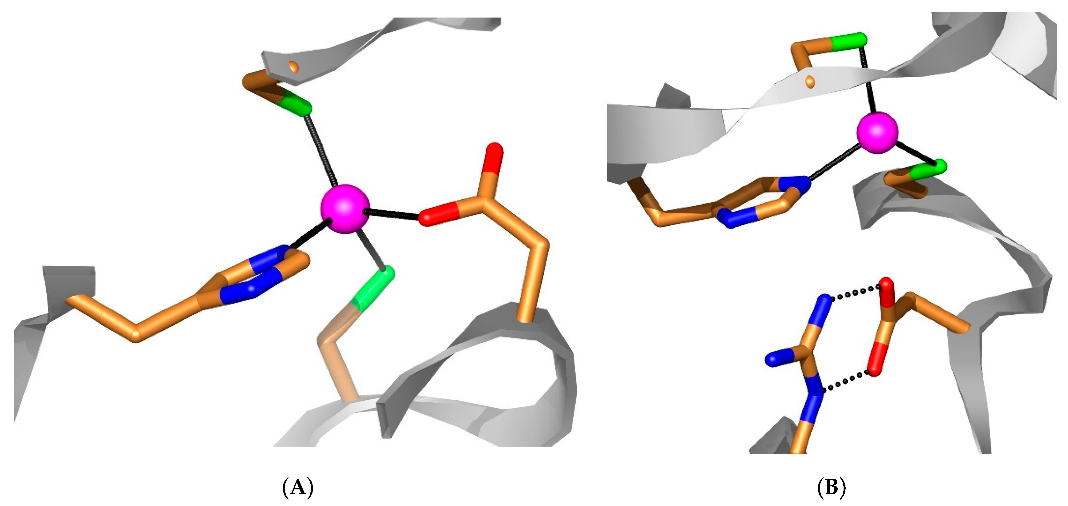 Metabolites 10 00093 g002 Metabolites 10 00093 g002