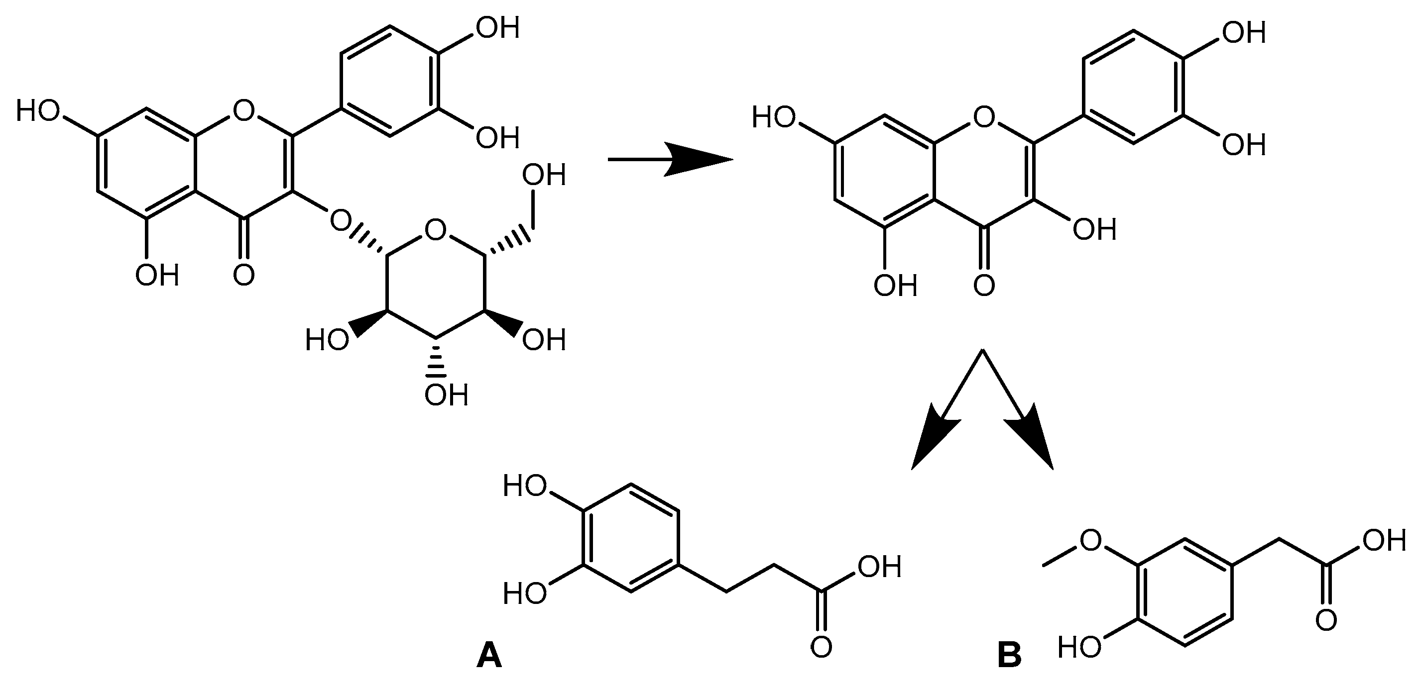 Metabolites 10 00111 g009