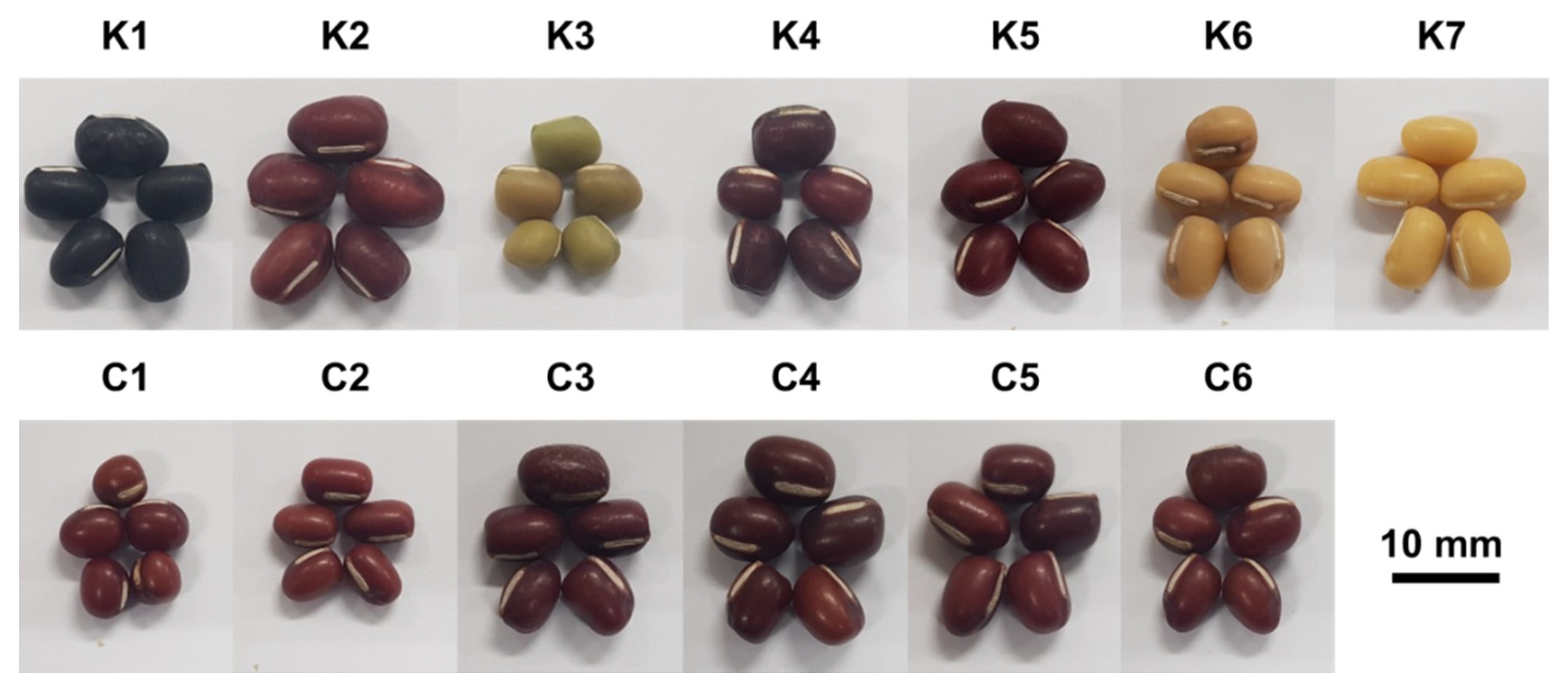 Metabolites 10 00112 g007