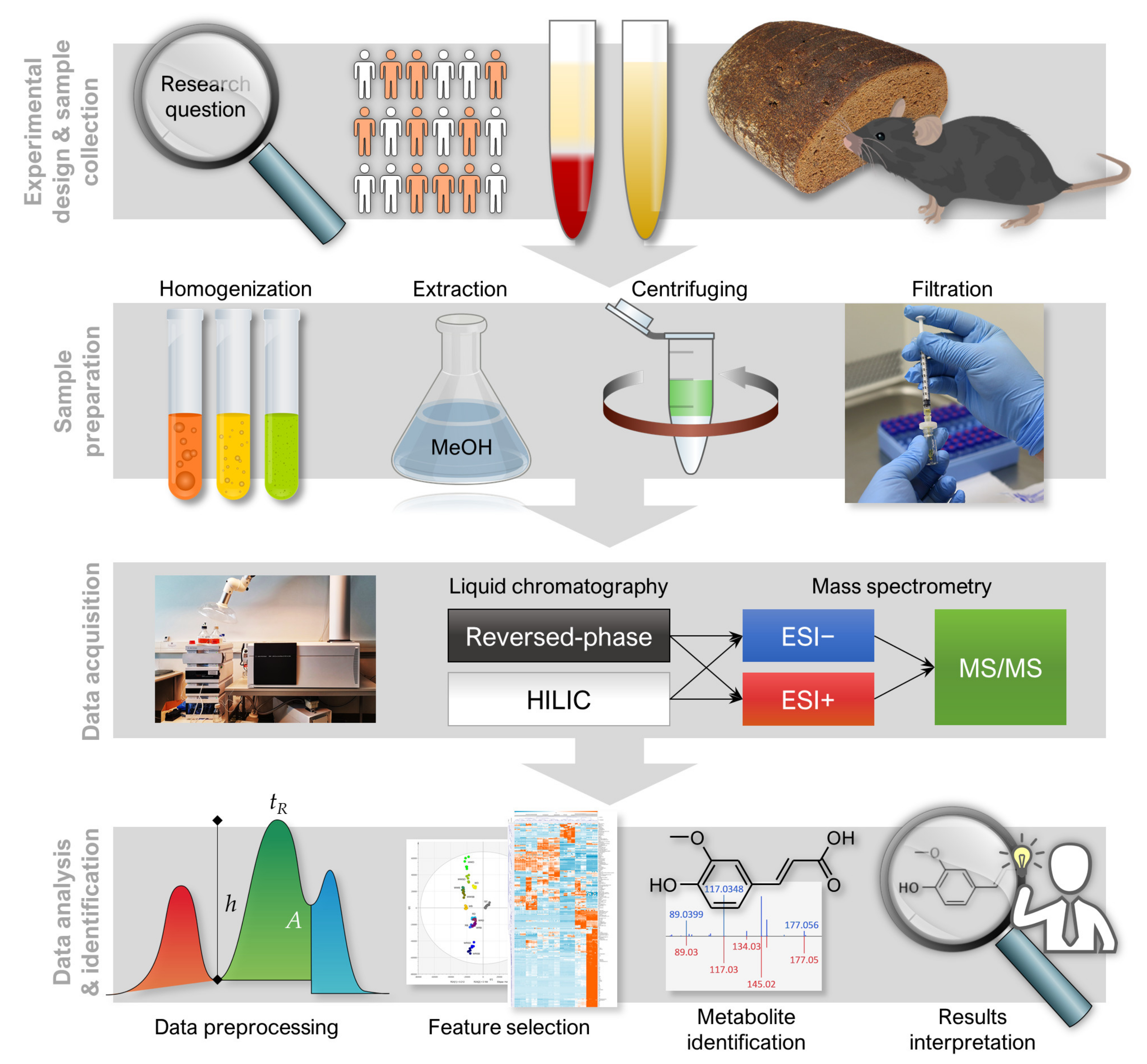 Metabolites 10 00135 g001