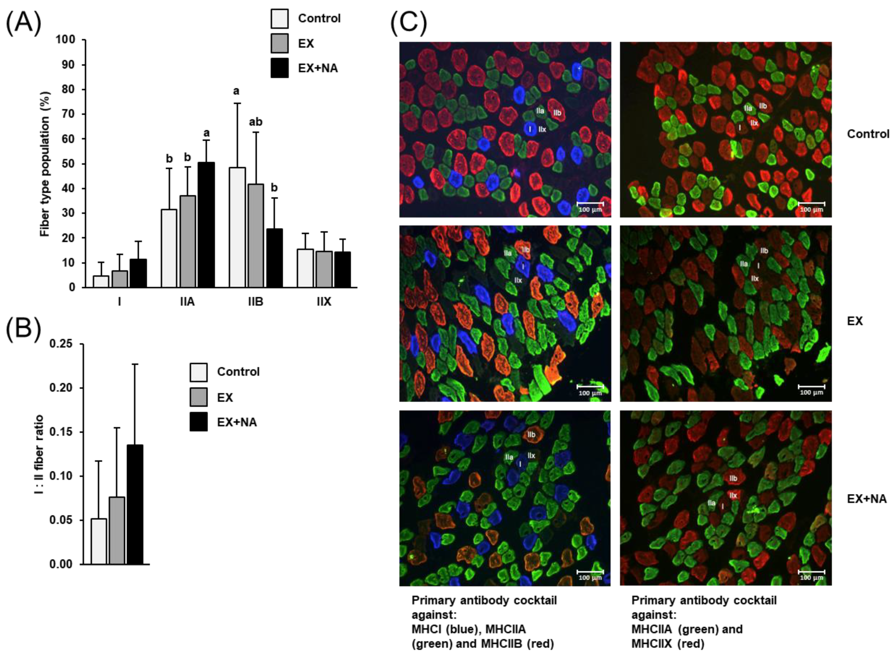 Metabolites 10 00138 g003 Metabolites 10 00138 g003