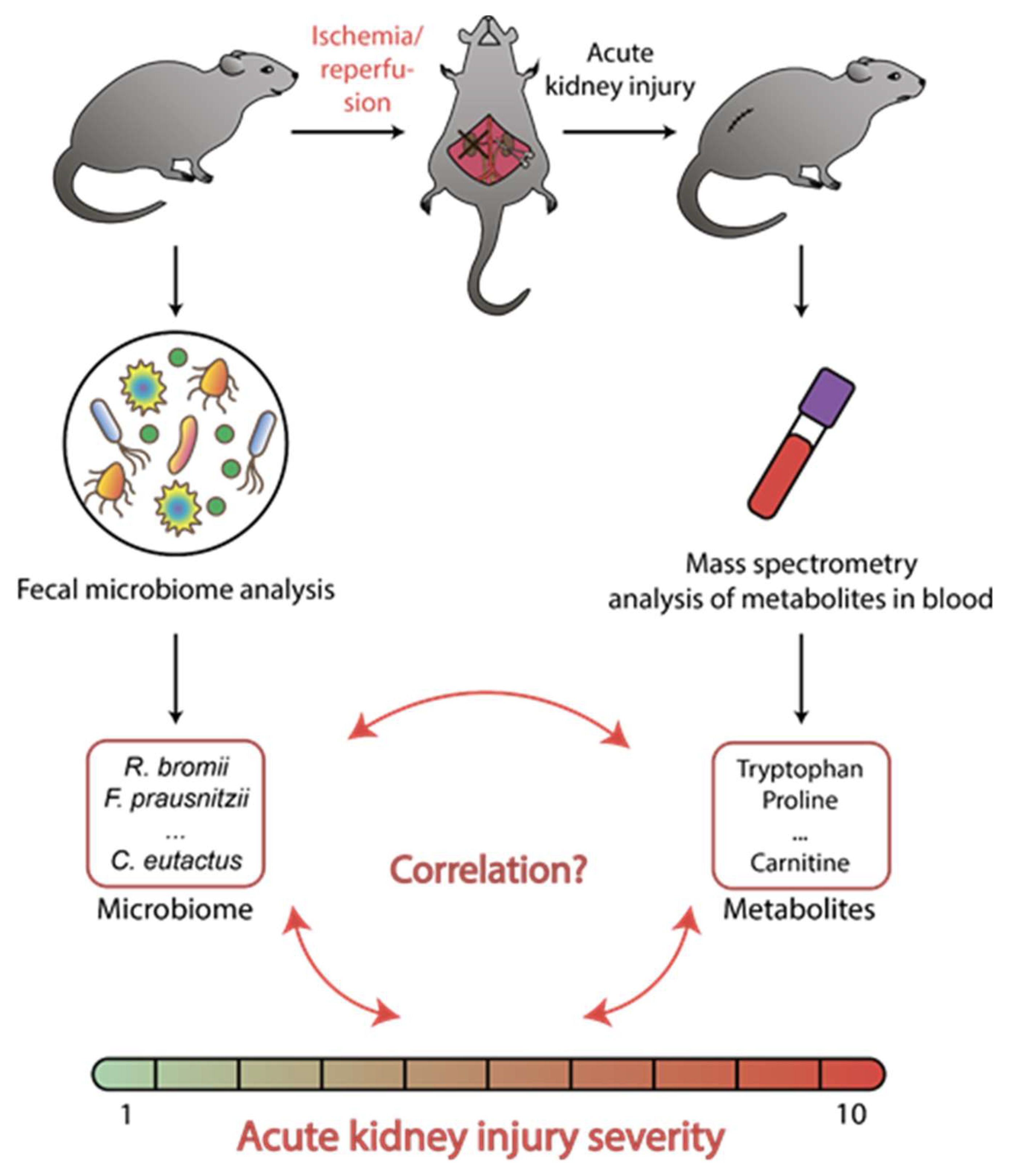 Metabolites 10 00142 g001