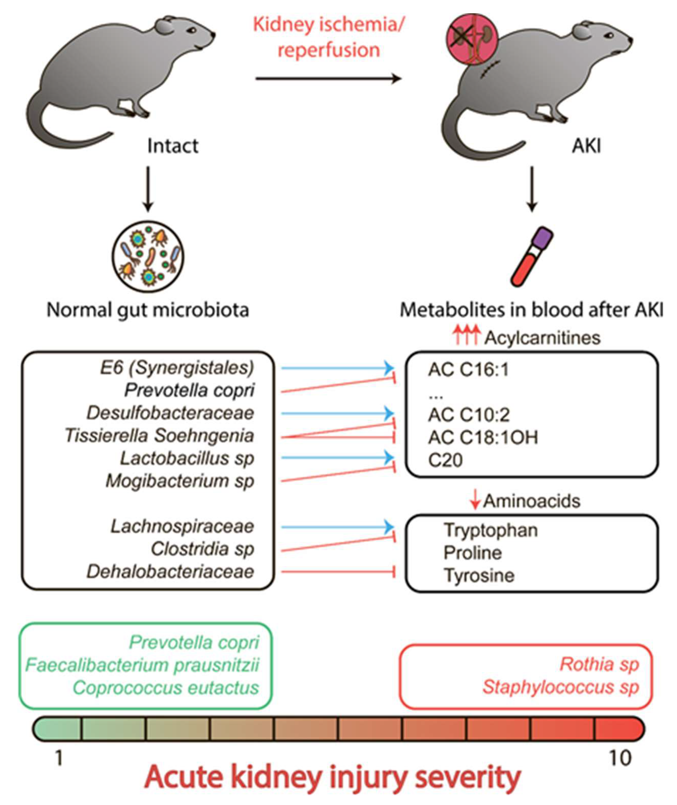Metabolites 10 00142 g004