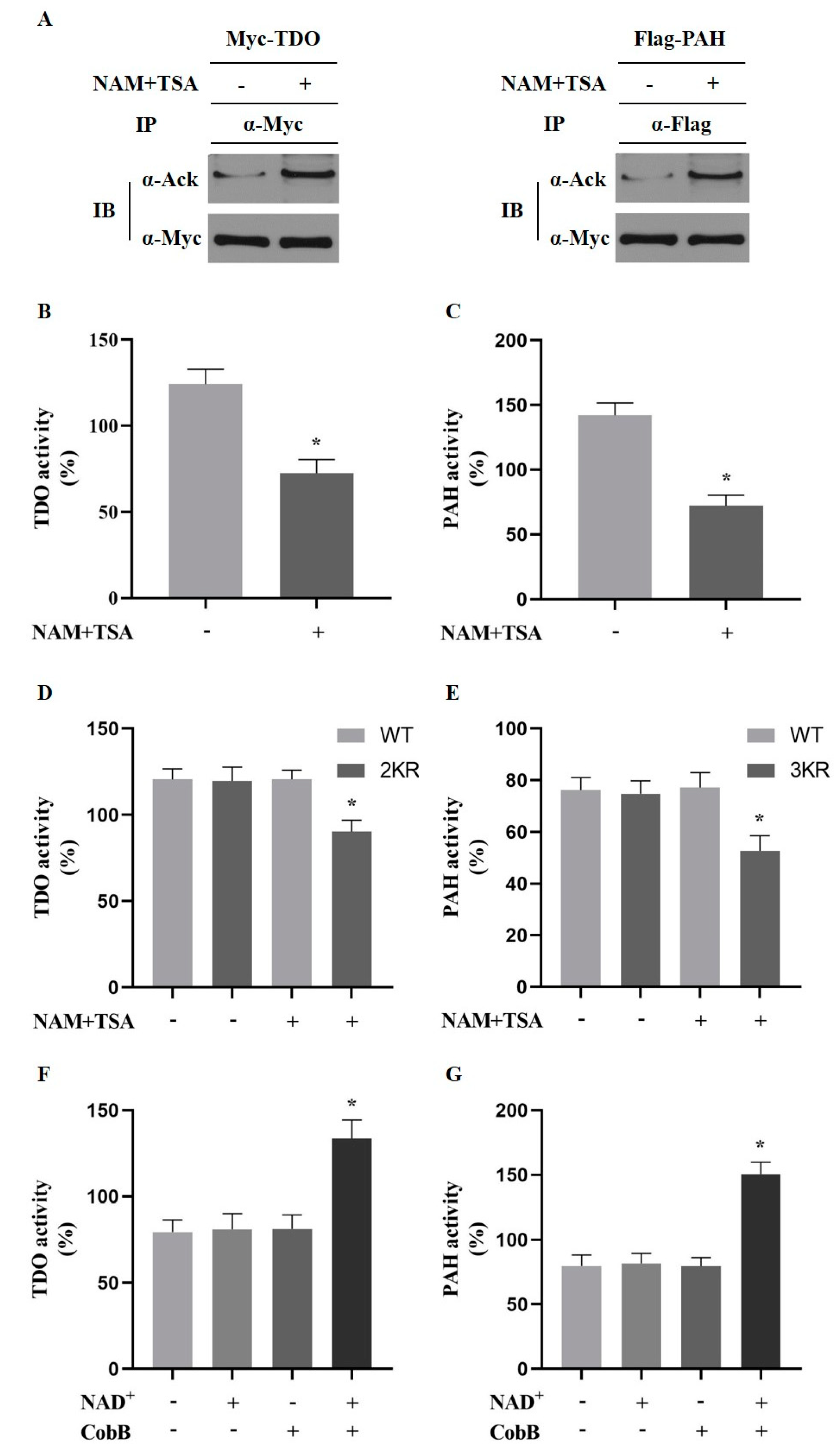 Metabolites 10 00146 g004
