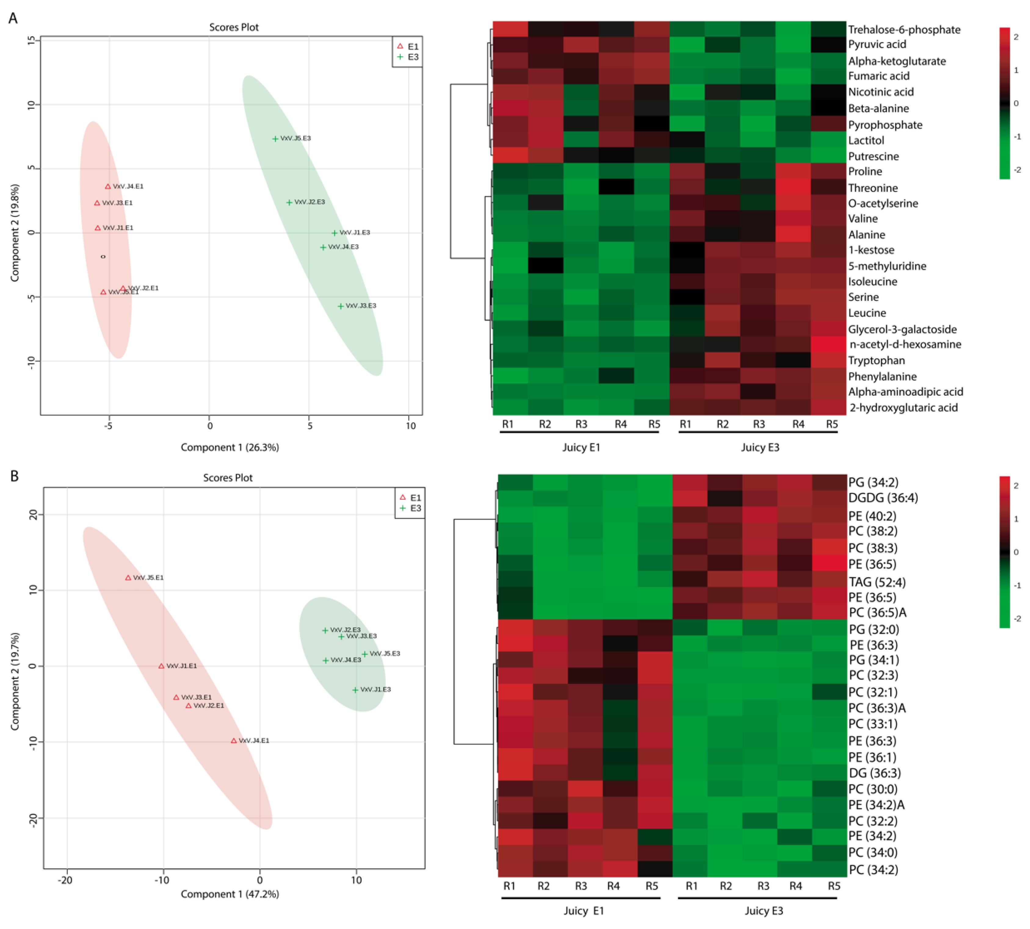 Metabolites 10 00154 g003