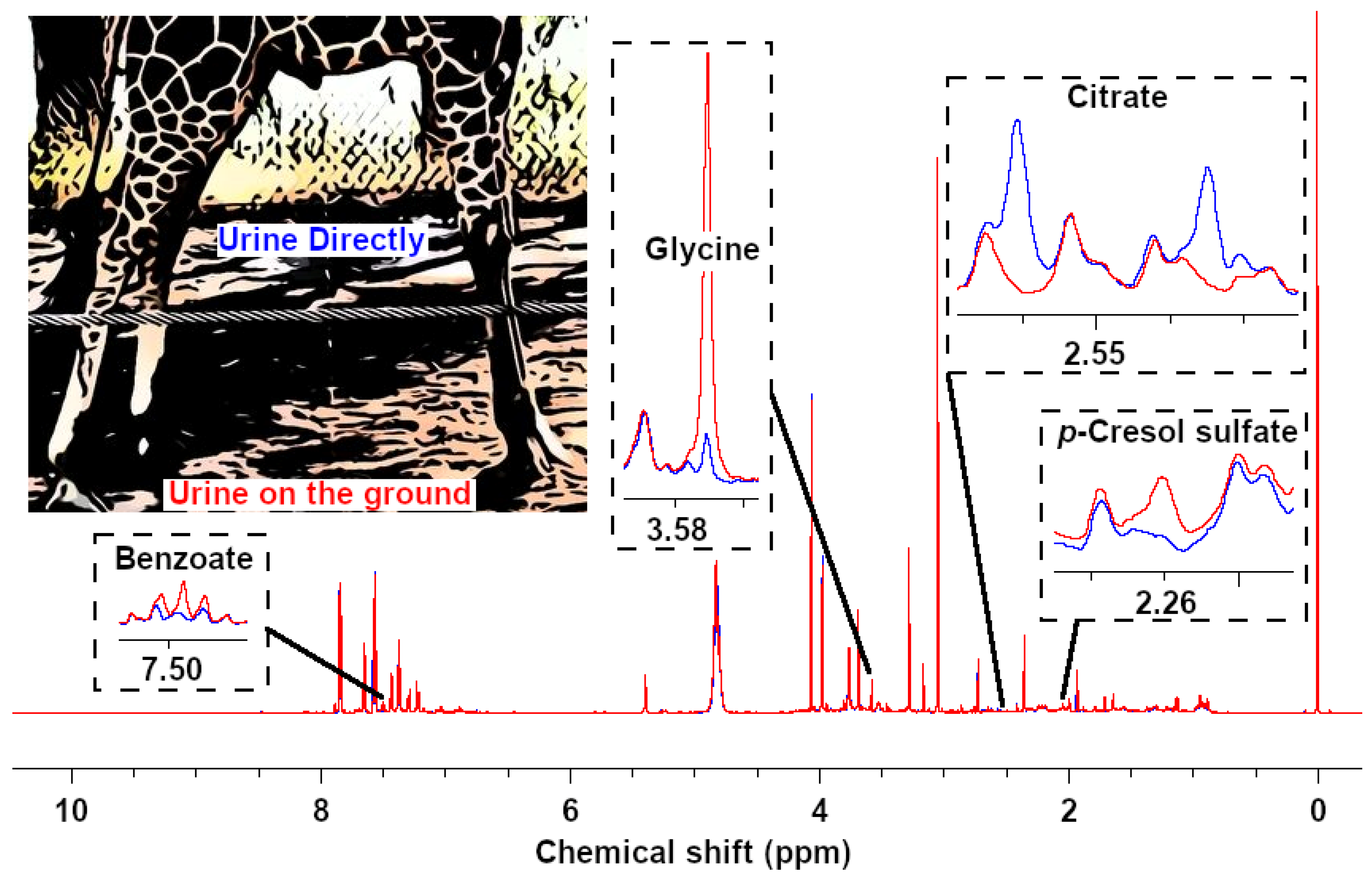 Metabolites 10 00157 g002 Metabolites 10 00157 g002