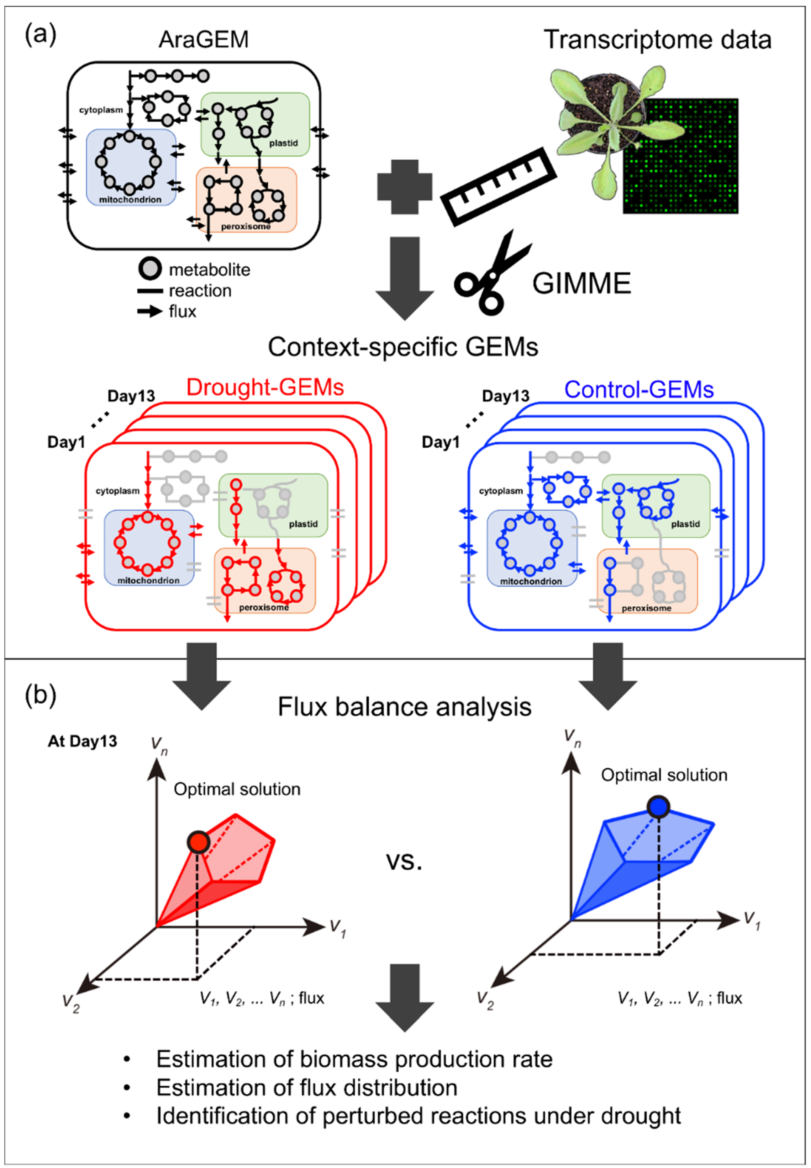 Metabolites 10 00159 g001