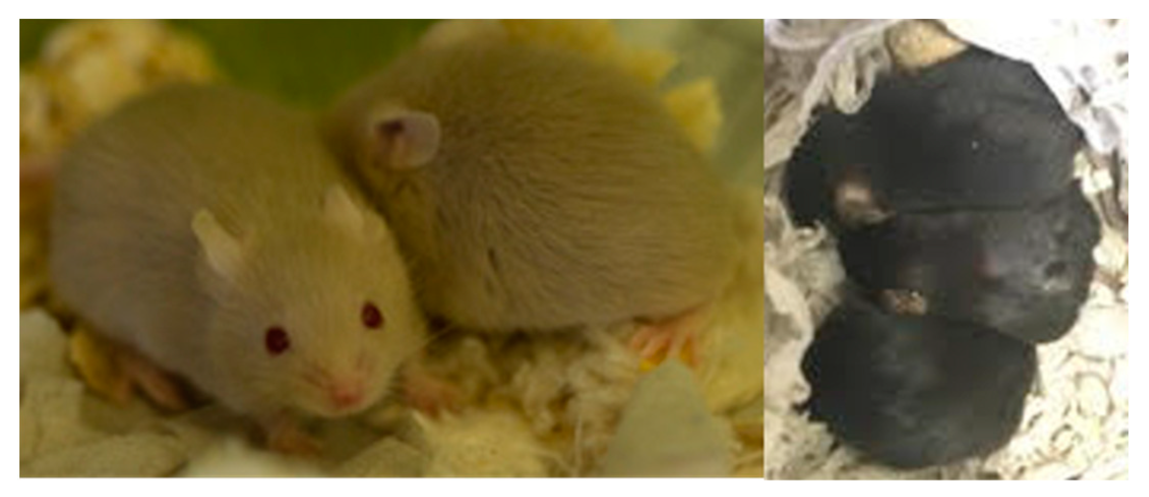 Metabolites 10 00176 g002