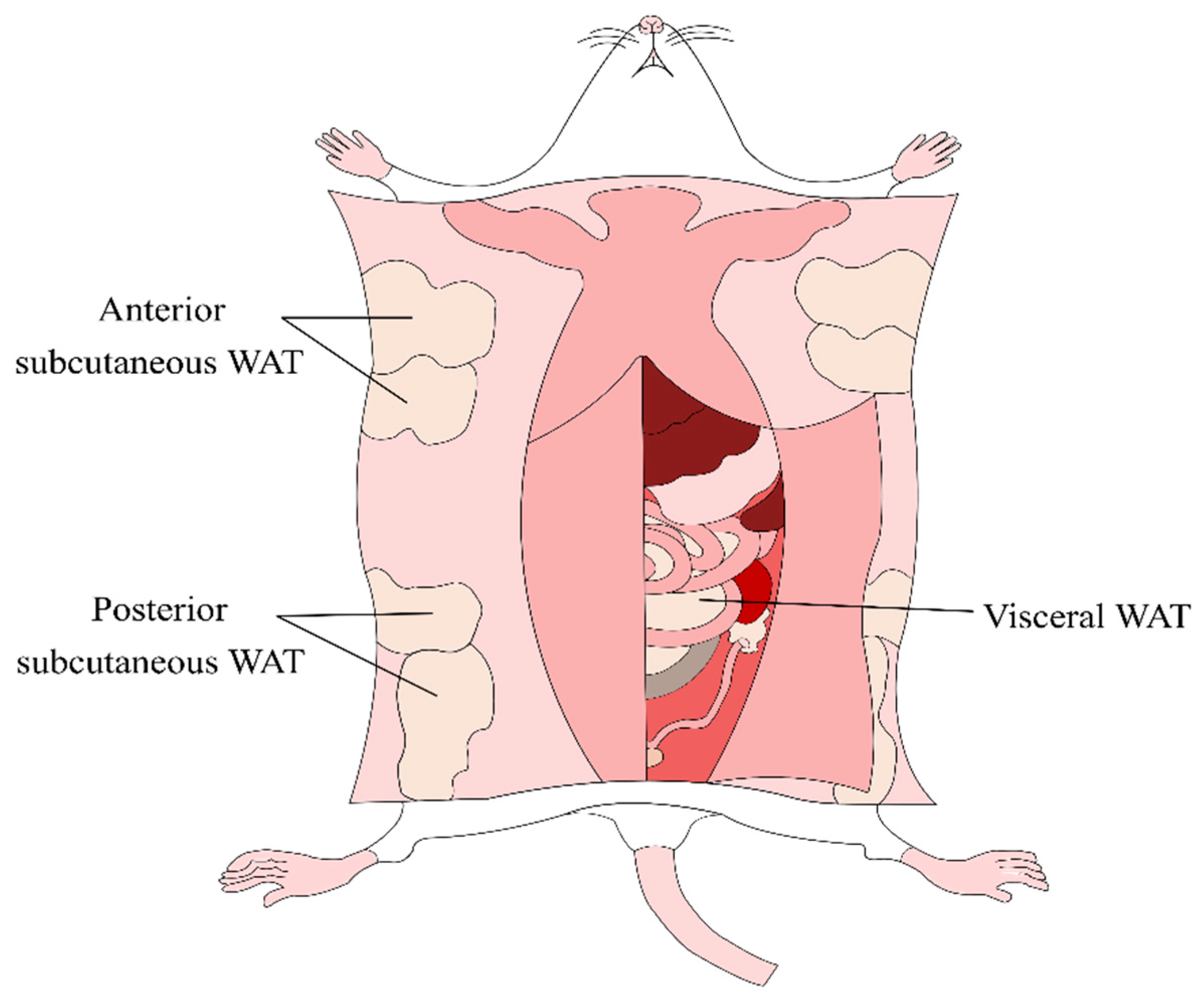 Metabolites 10 00176 g003