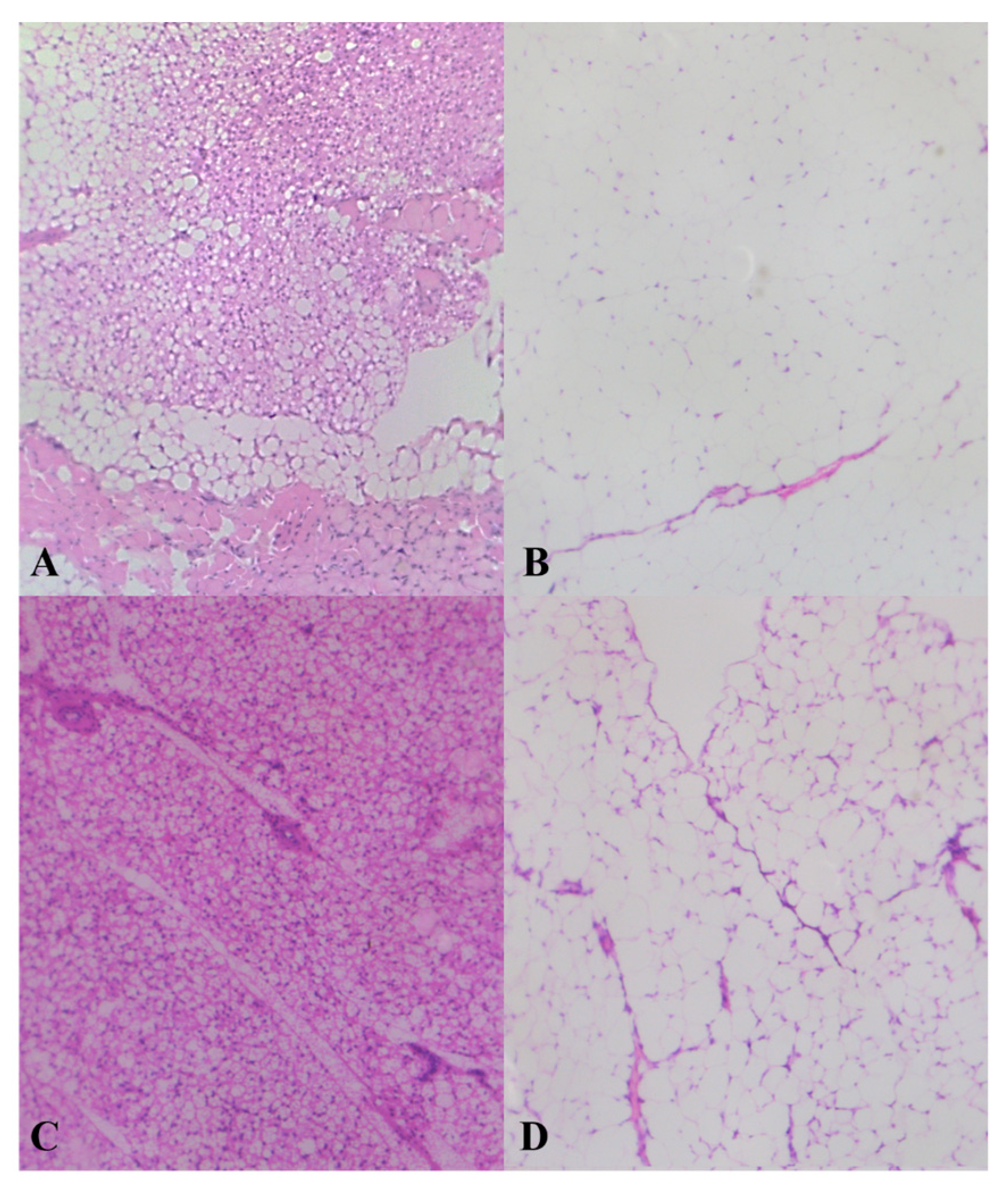 Metabolites 10 00176 g004