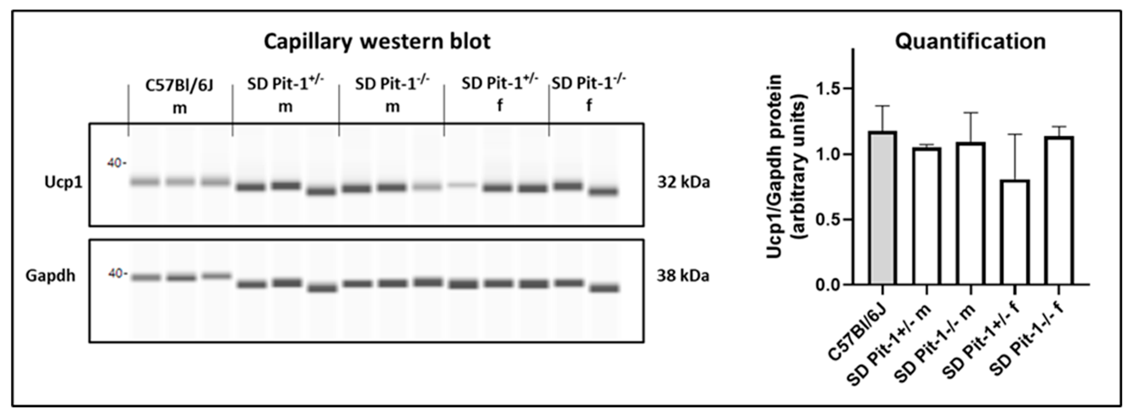 Metabolites 10 00176 g005