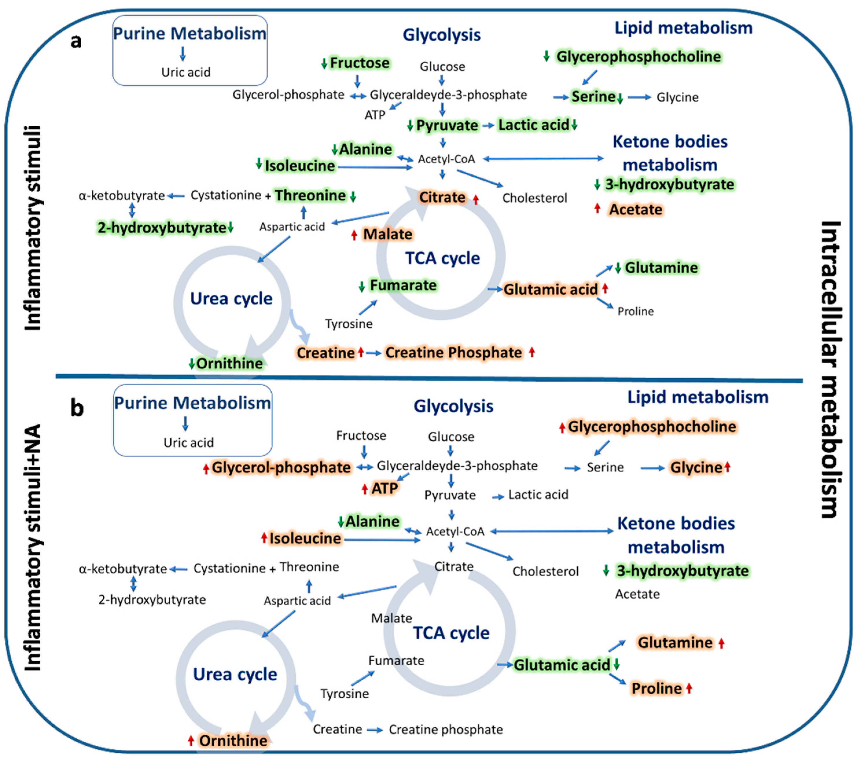 Metabolites 10 00204 g005