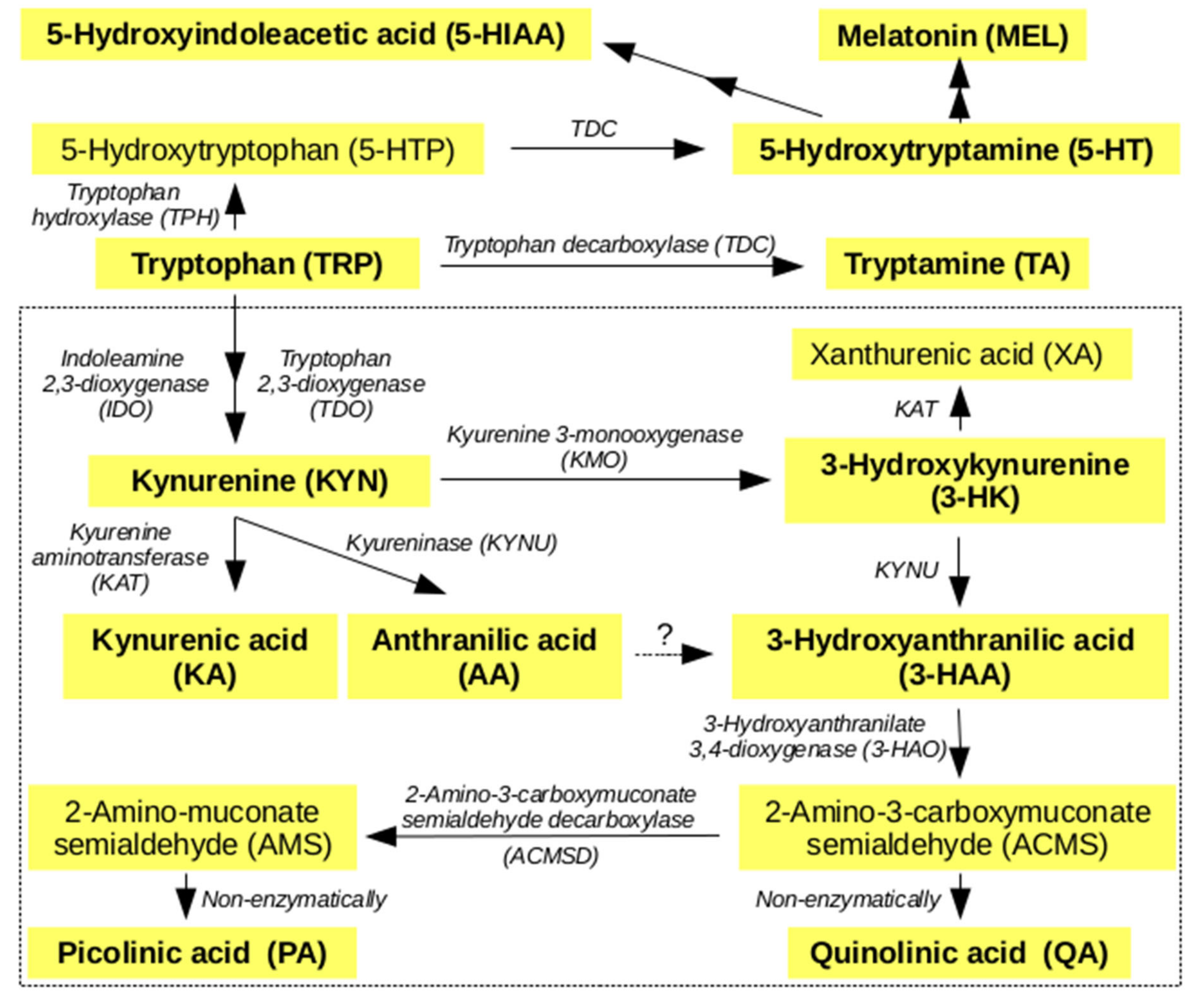 Metabolites 10 00208 g001 Metabolites 10 00208 g001