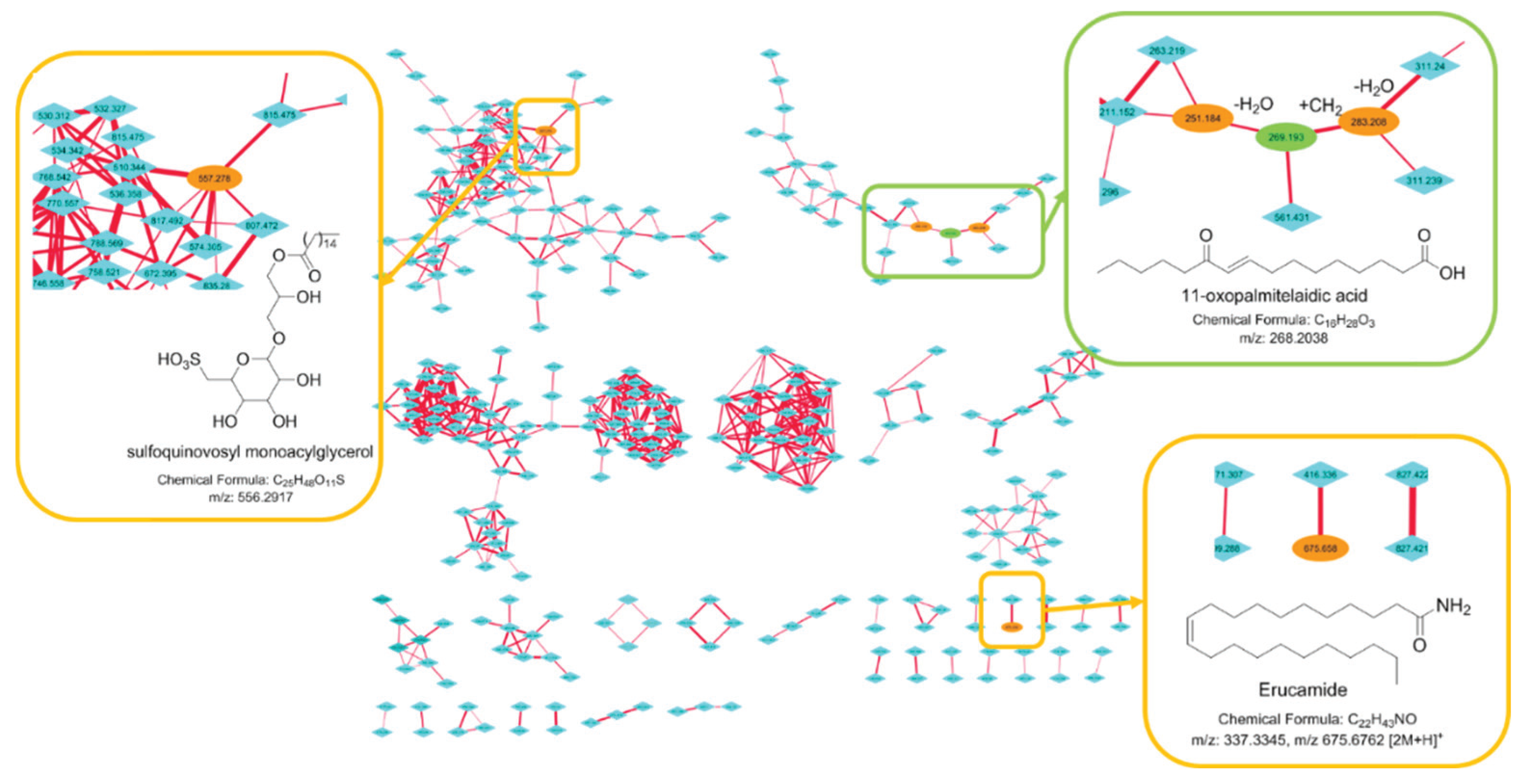 Metabolites 10 00215 g005