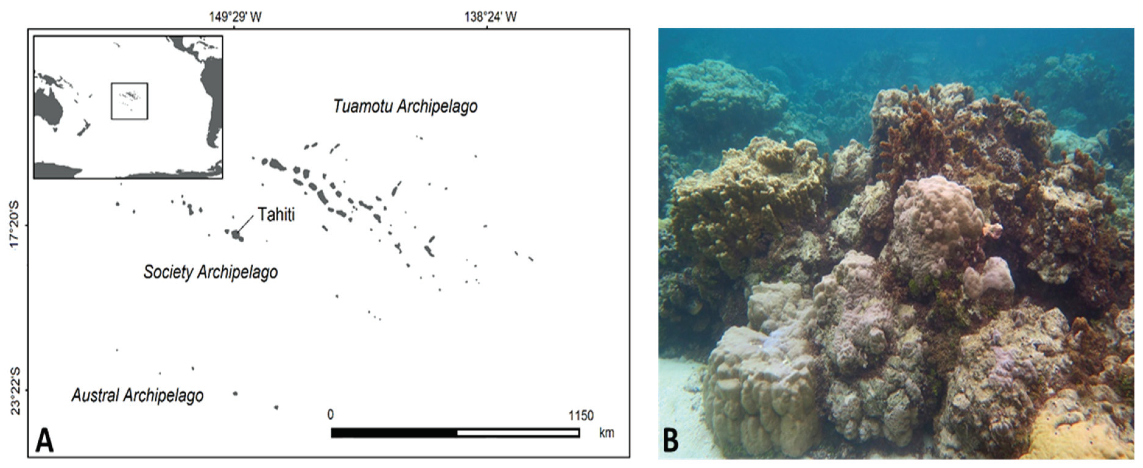 Metabolites 10 00215 g006