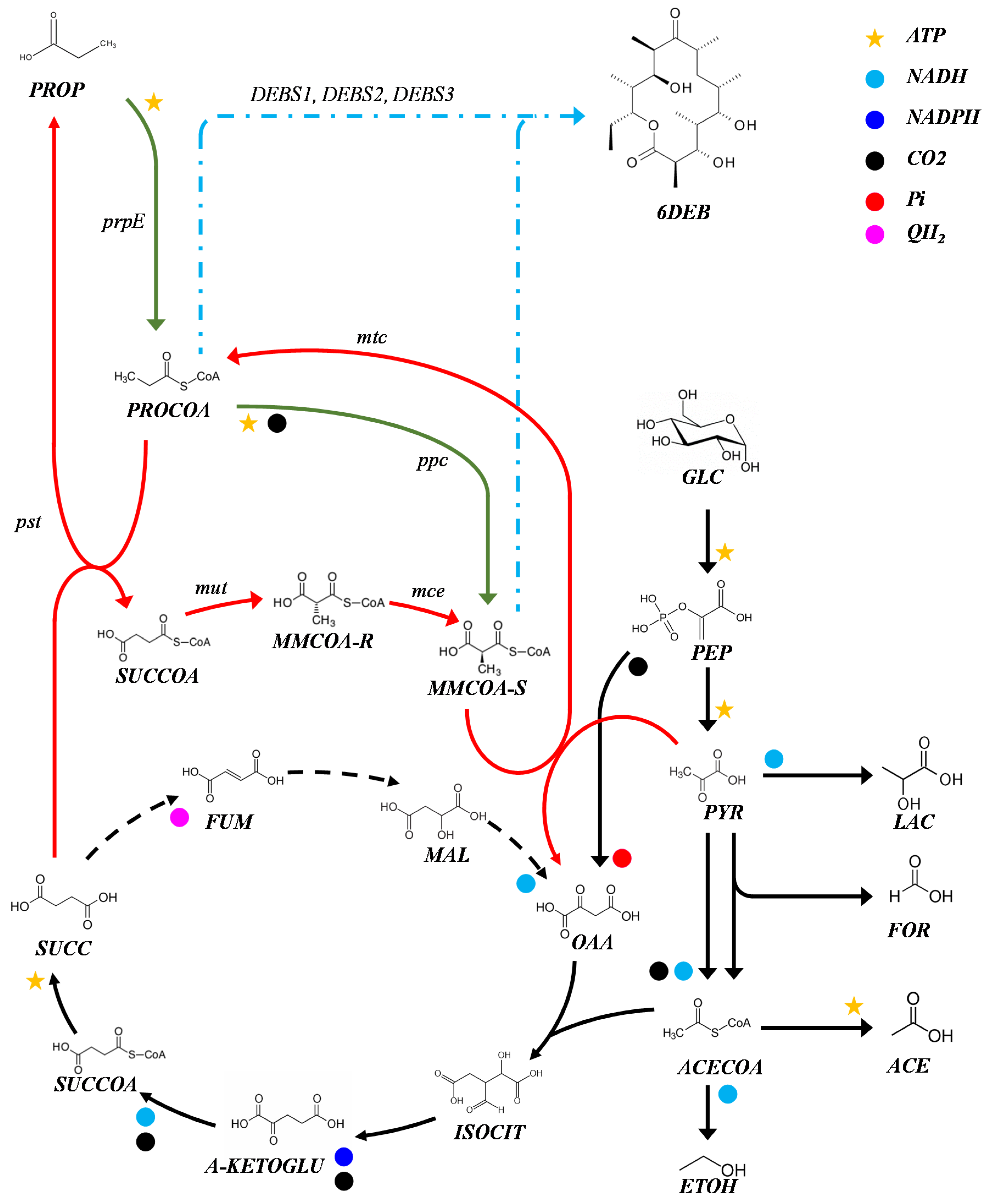 Metabolites 10 00228 g001 Metabolites 10 00228 g001