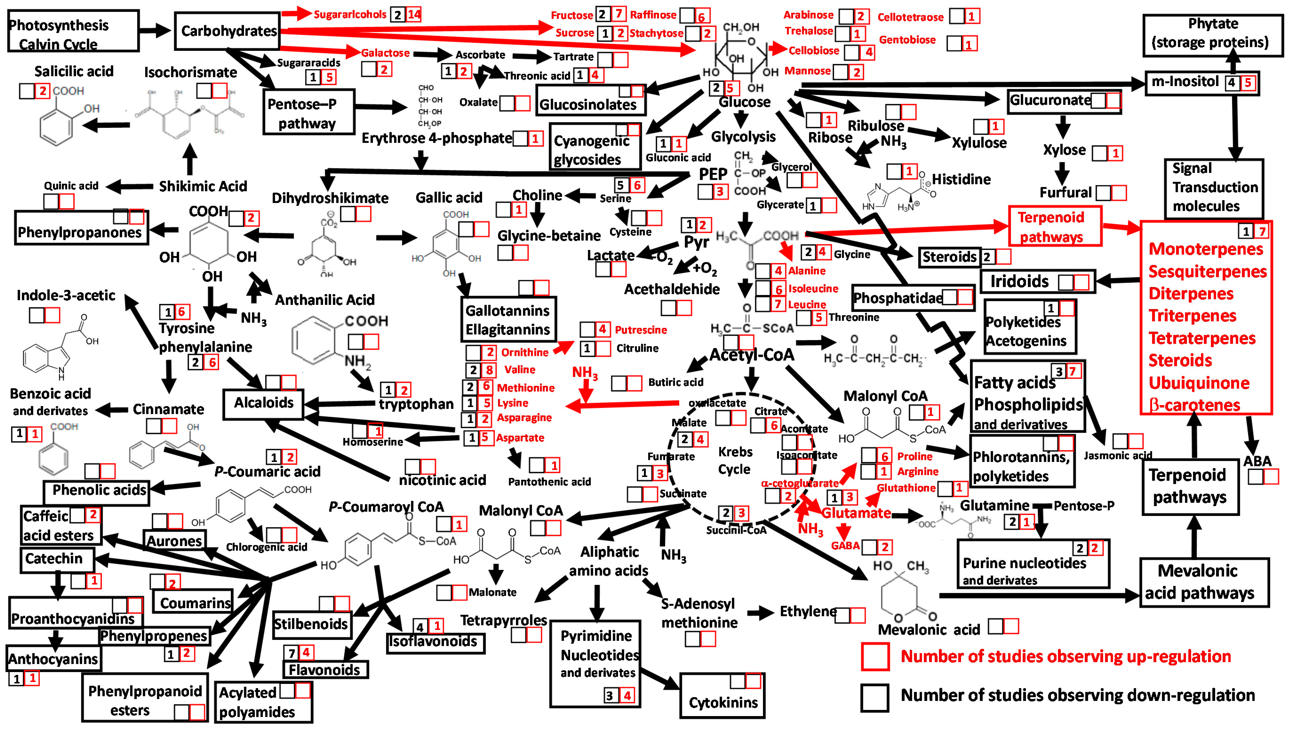 Metabolites 10 00239 g002 Metabolites 10 00239 g002