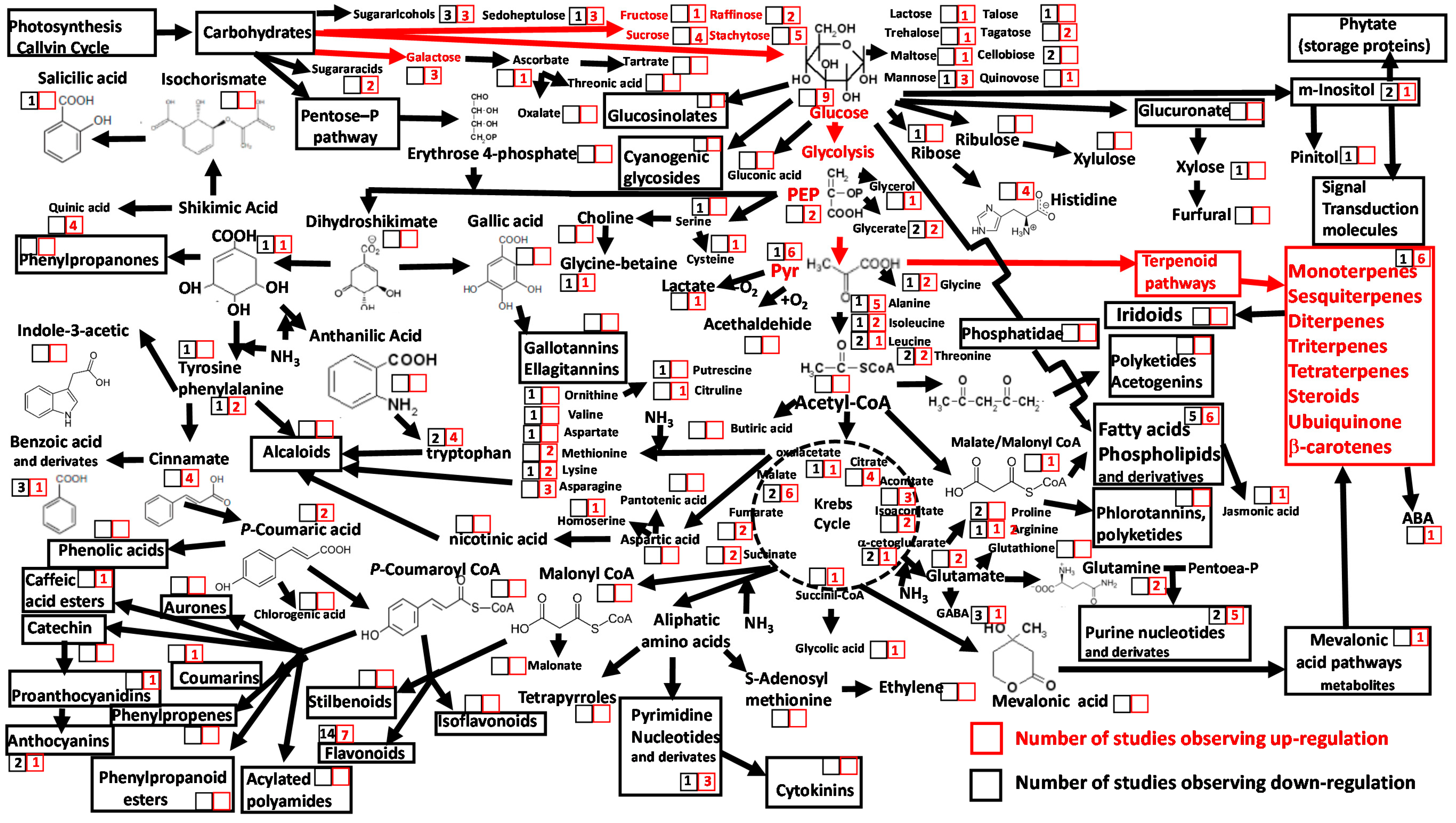 Metabolites 10 00239 g003 Metabolites 10 00239 g003